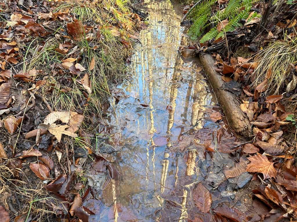 Welcome to Pittsville Perch: Your Private Mountain Retreat