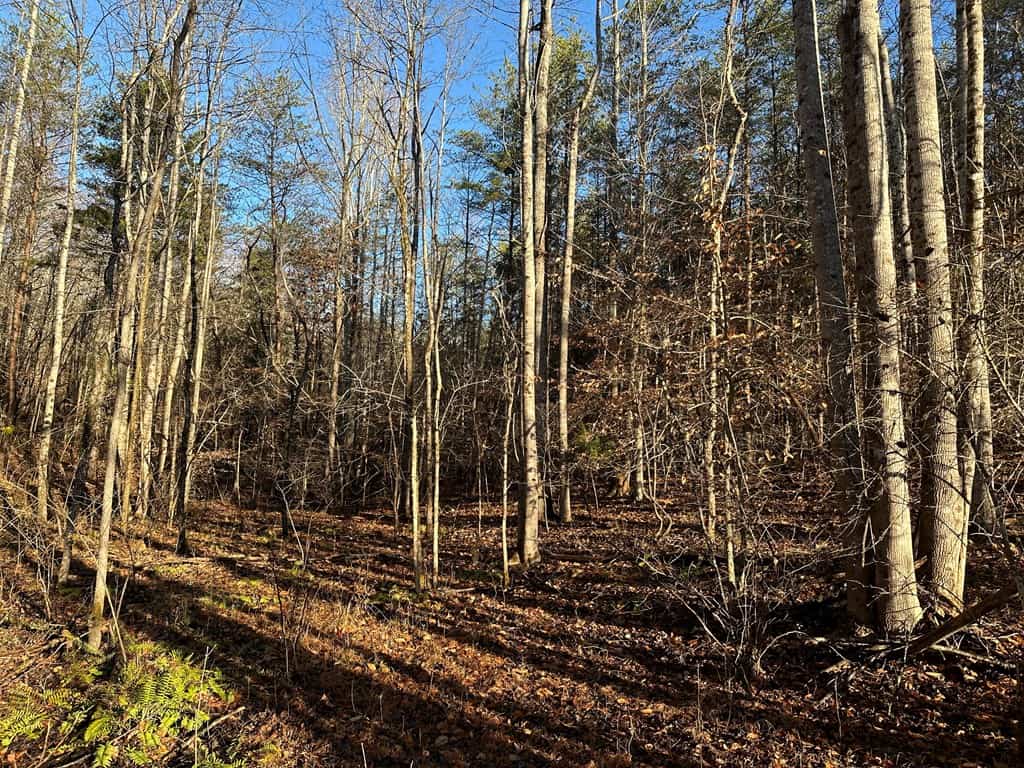Welcome to Pittsville Perch: Your Private Mountain Retreat