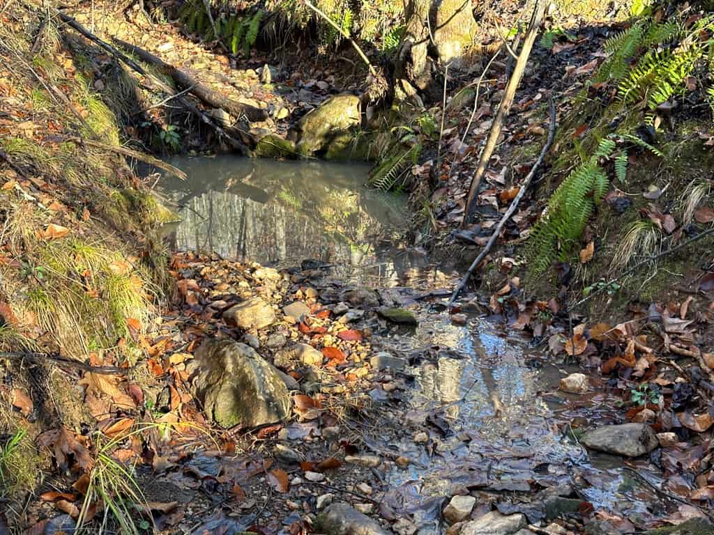 Welcome to Pittsville Perch: Your Private Mountain Retreat
