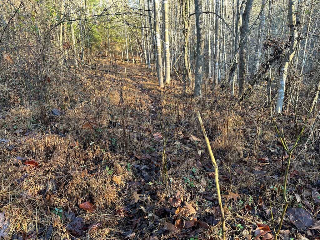 Welcome to Pittsville Perch: Your Private Mountain Retreat