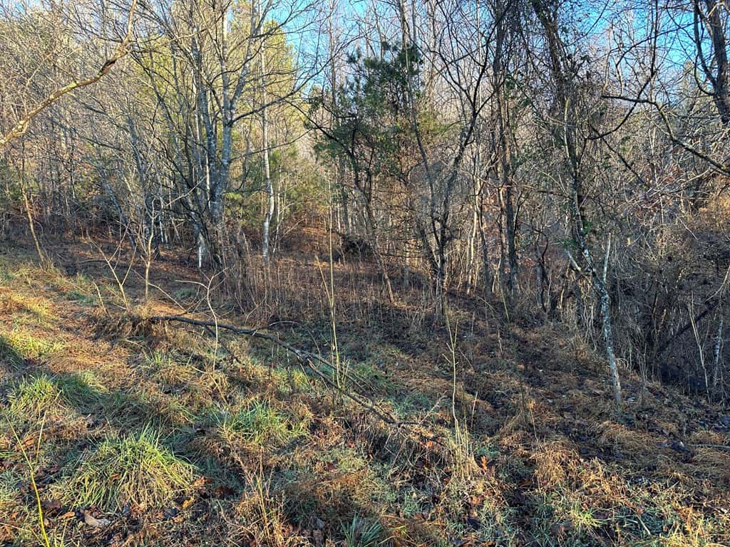 Welcome to Pittsville Perch: Your Private Mountain Retreat