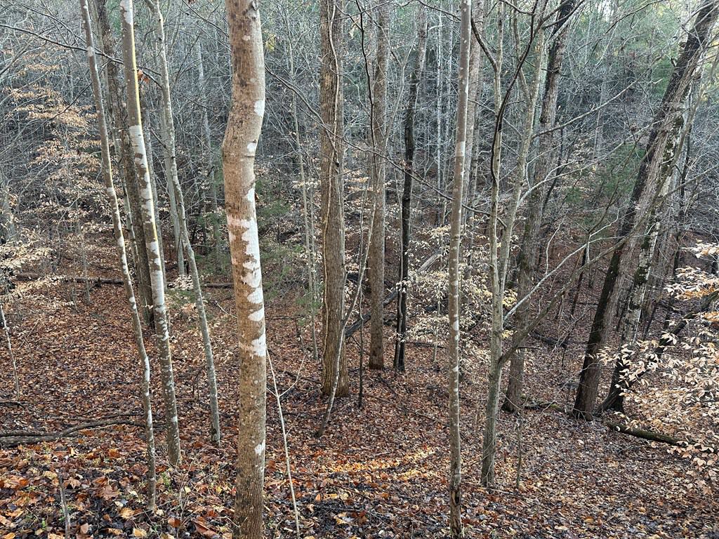 Welcome to Pittsville Perch: Your Private Mountain Retreat