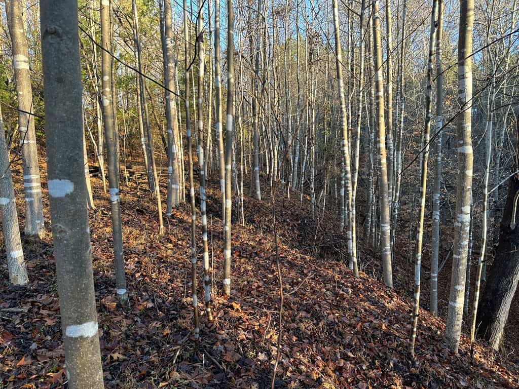 Welcome to Pittsville Perch: Your Private Mountain Retreat
