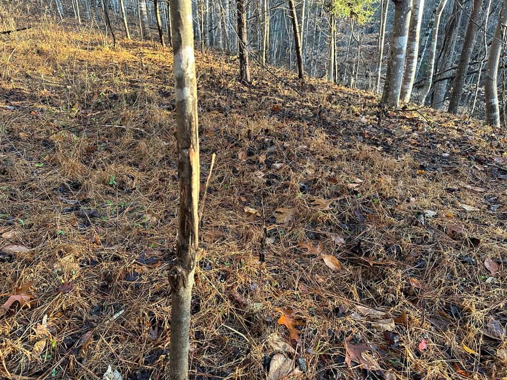 Welcome to Pittsville Perch: Your Private Mountain Retreat