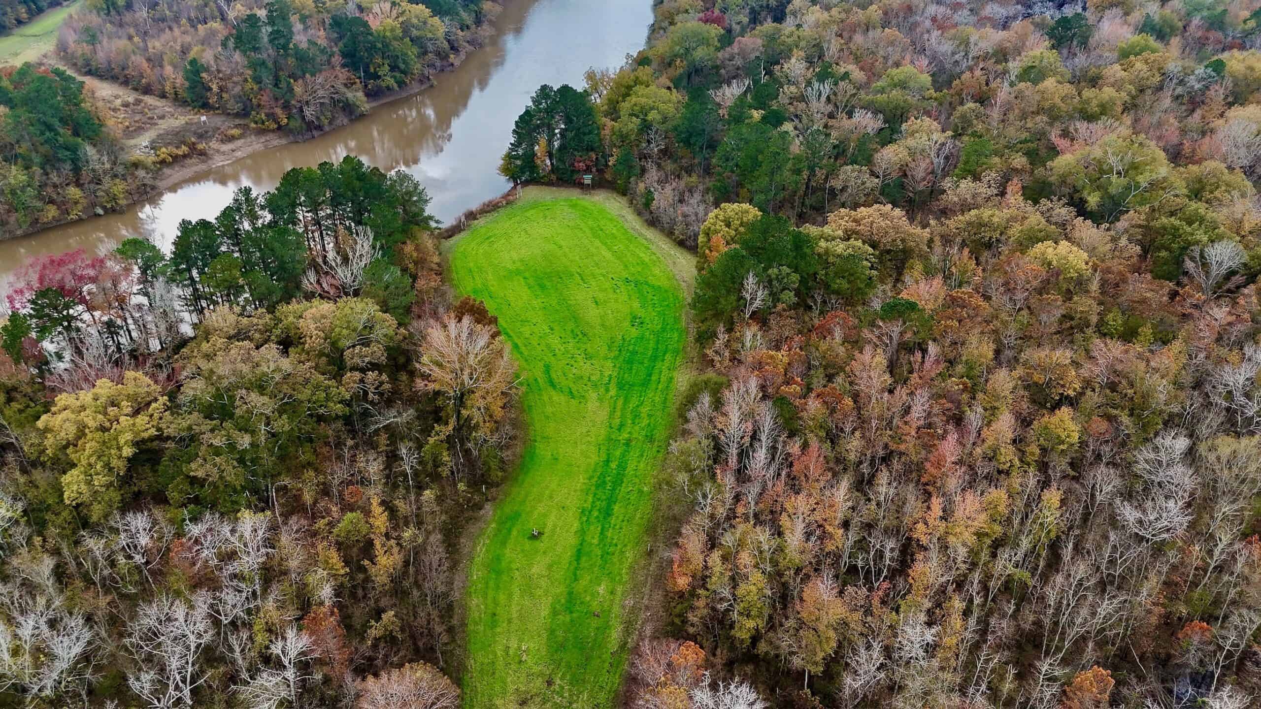 Duck and Deer Hunting Land for Sale with River Frontage