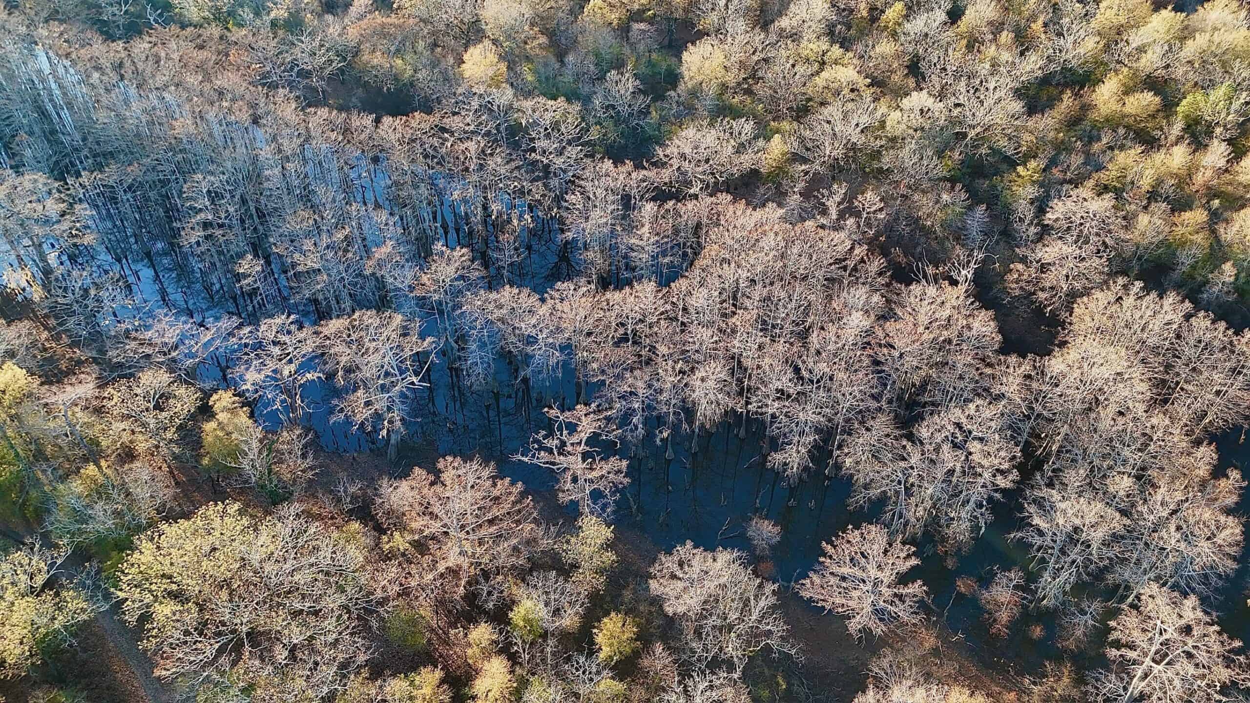 Duck and Deer Hunting Property for Sale in Grant Parish, LA