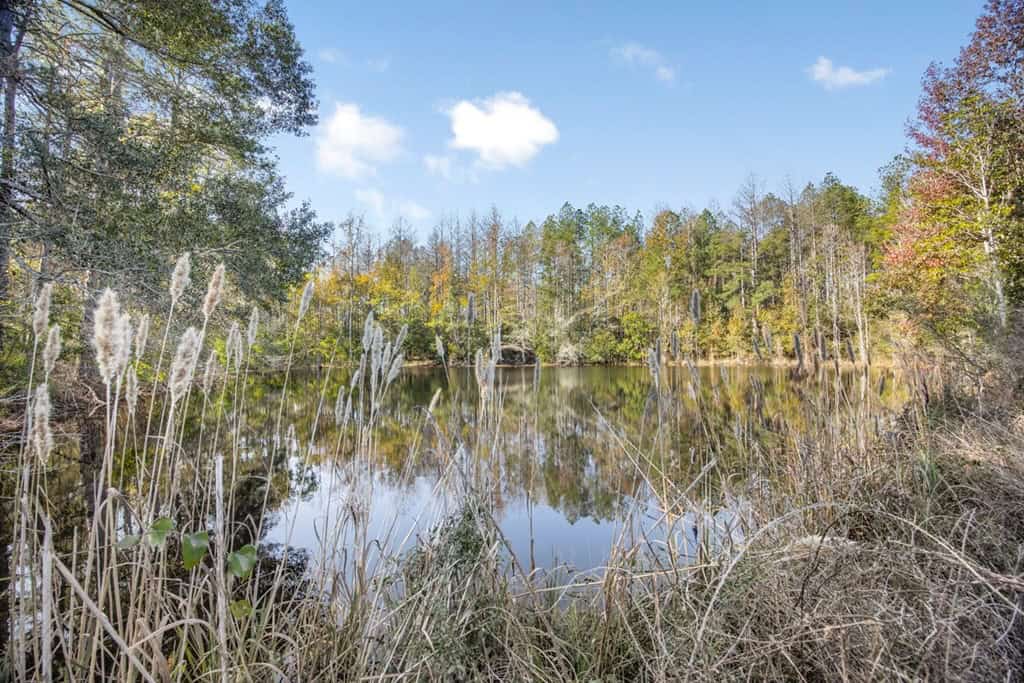 Land For Sale in Amite County, MS
