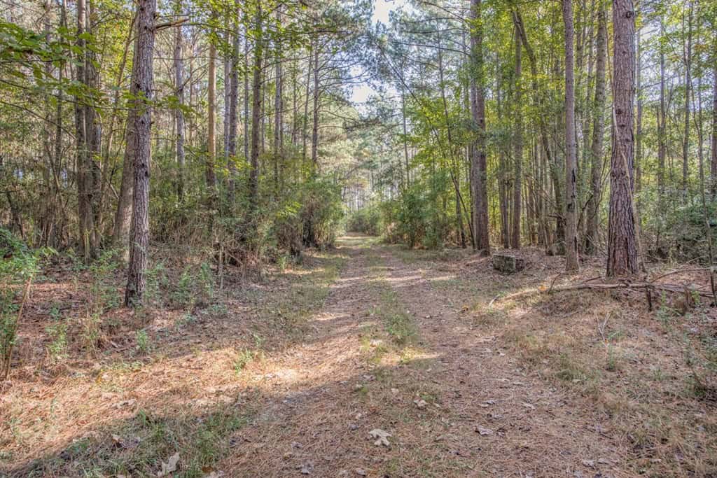 Land For Sale in Amite County, MS