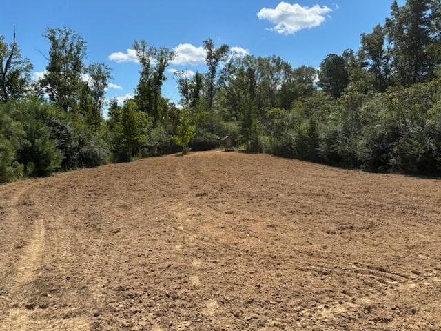 145 Acres Jefferson County Hunting Land Timber Investment