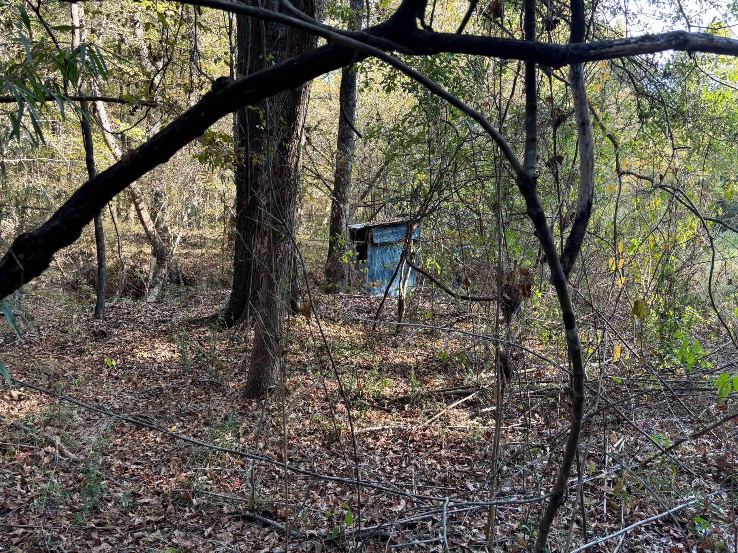 42 Acres Franklin County Hunting Land Timber Investment