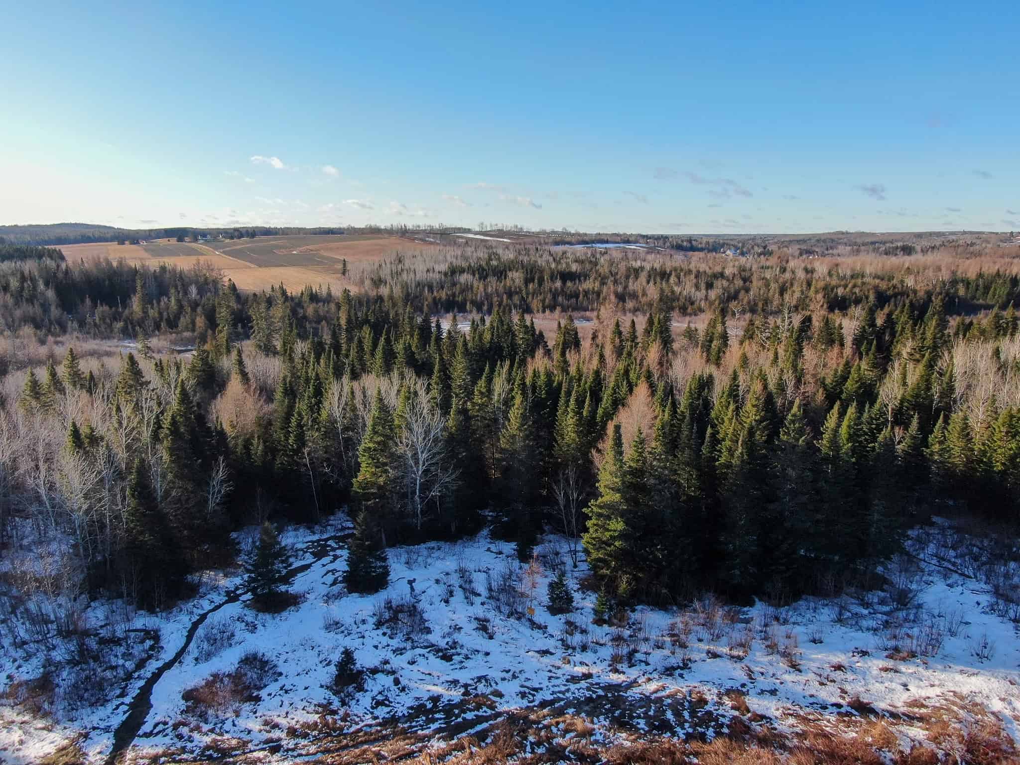 59 Acres in Northern Maine