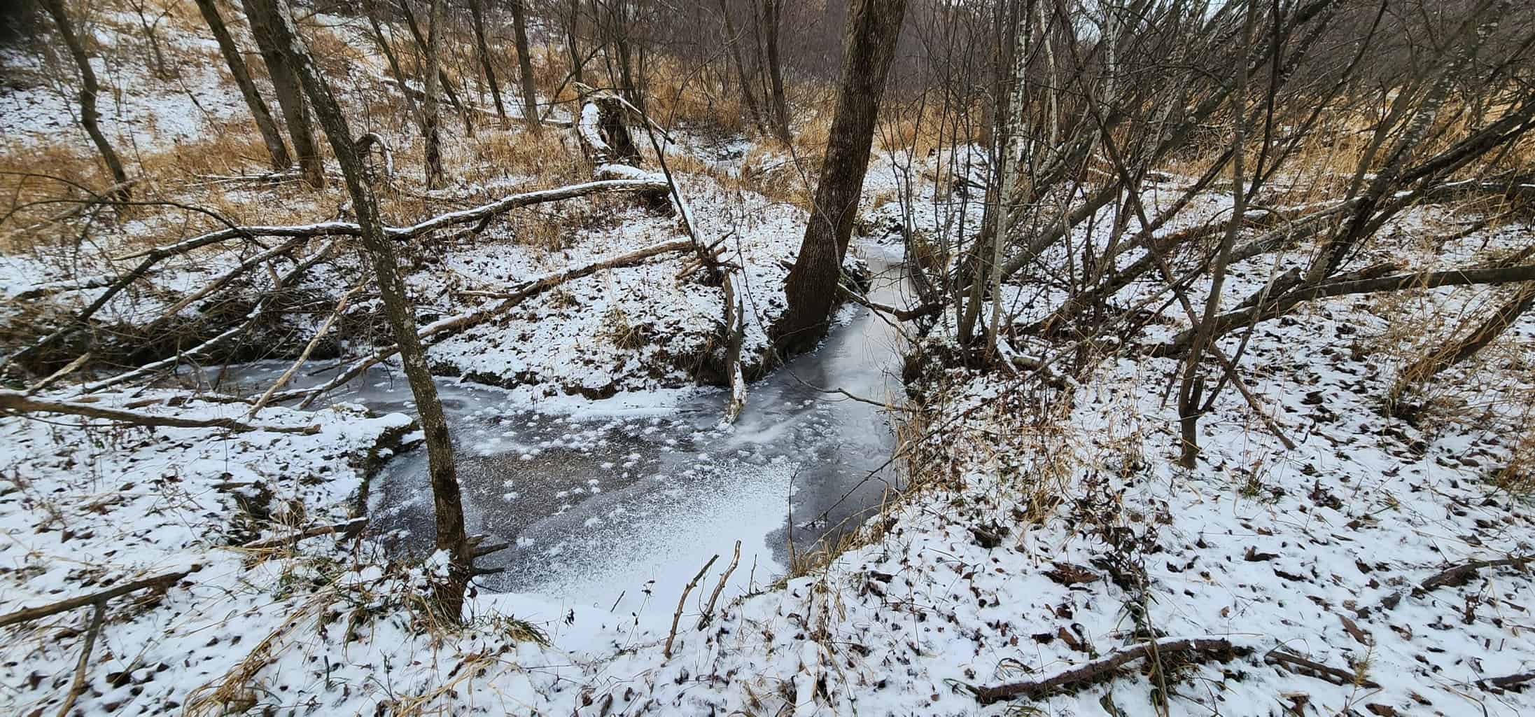 Land for sale with stream, crop ground, hunting, possible build site in WI