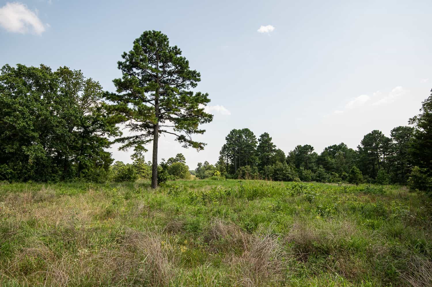 Premier Hunting & Cattle Ranch for Sale Near McAlester OK