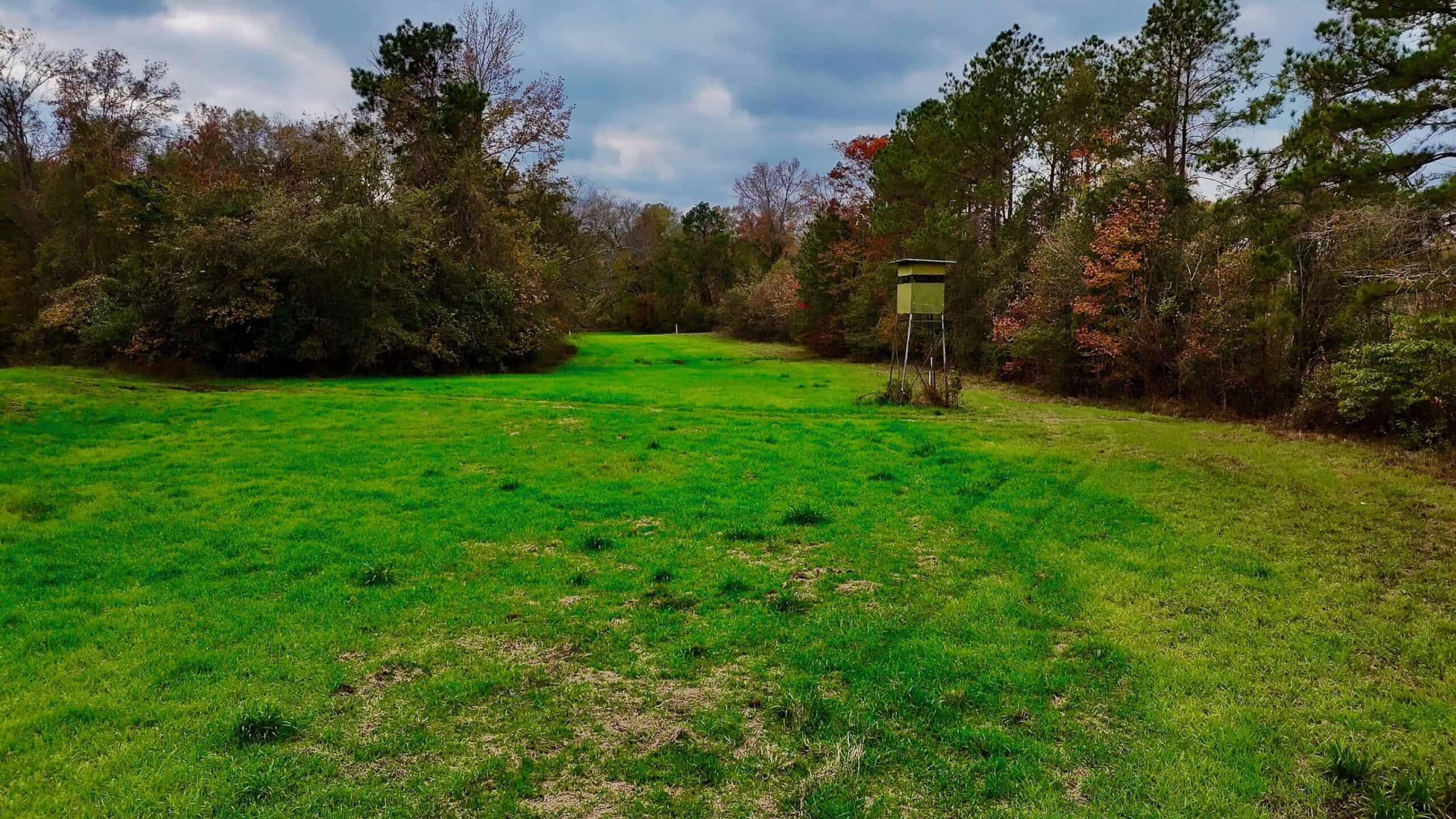 Duck and Deer Hunting Land for Sale with River Frontage