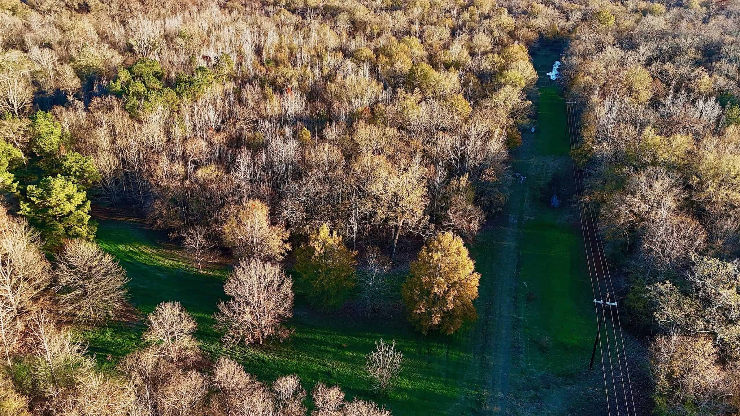 Duck and Deer Hunting Property for Sale in Grant Parish, LA