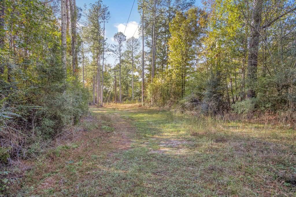 Land For Sale in Amite County, MS