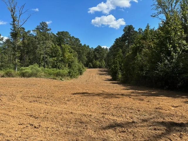 145 Acres Jefferson County Hunting Land Timber Investment