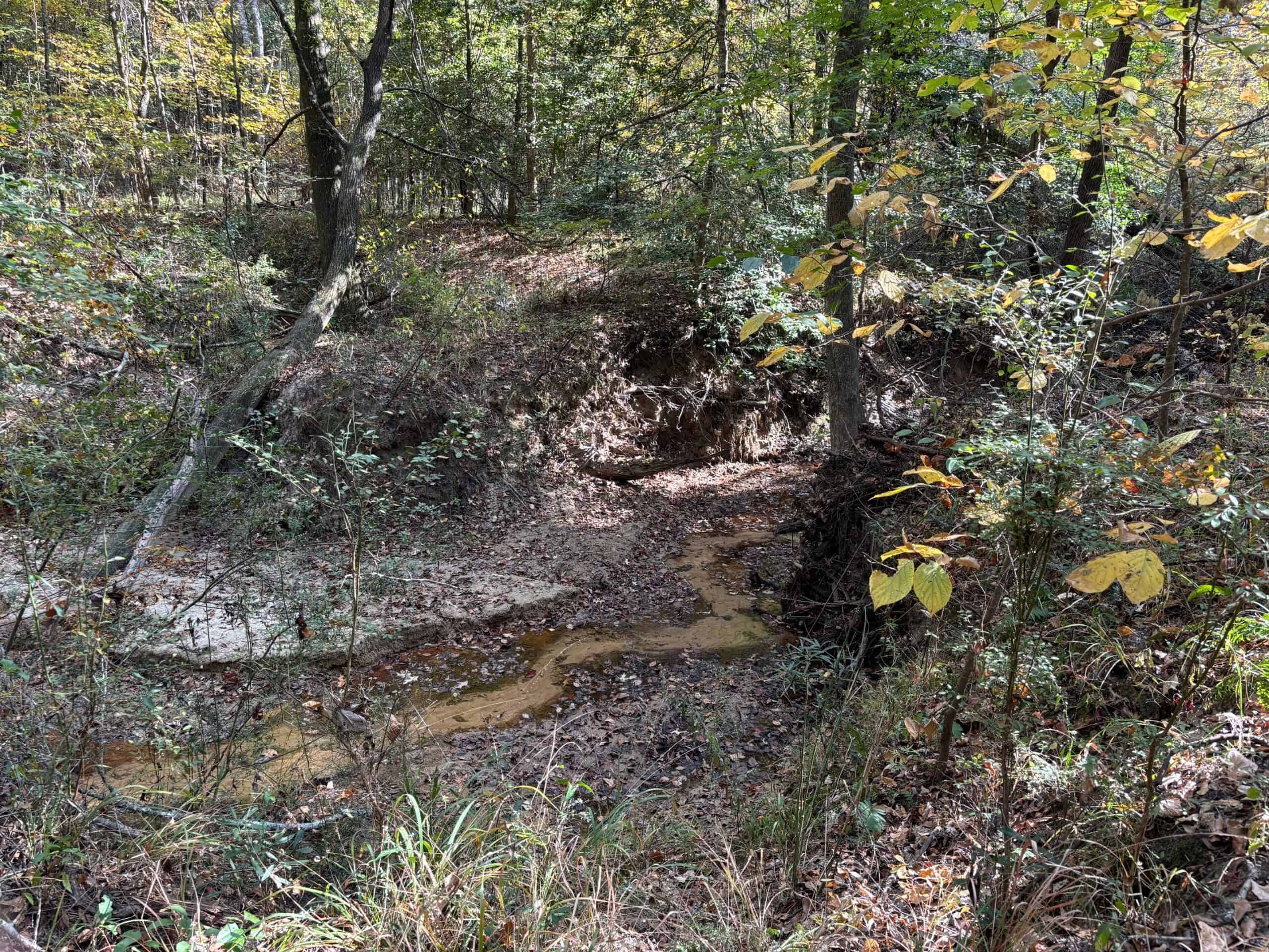 42 Acres Franklin County Hunting Land Timber Investment