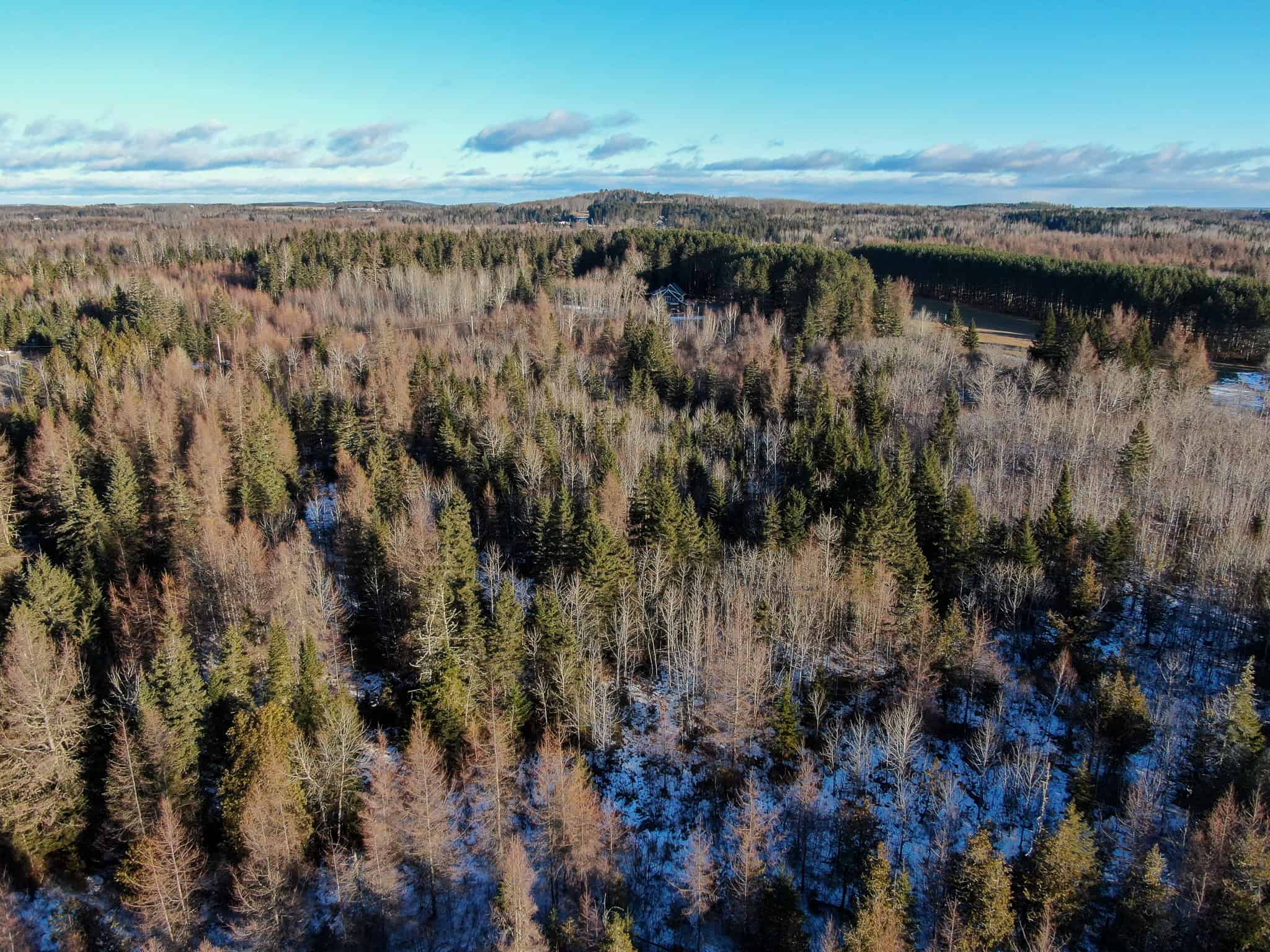 59 Acres in Northern Maine