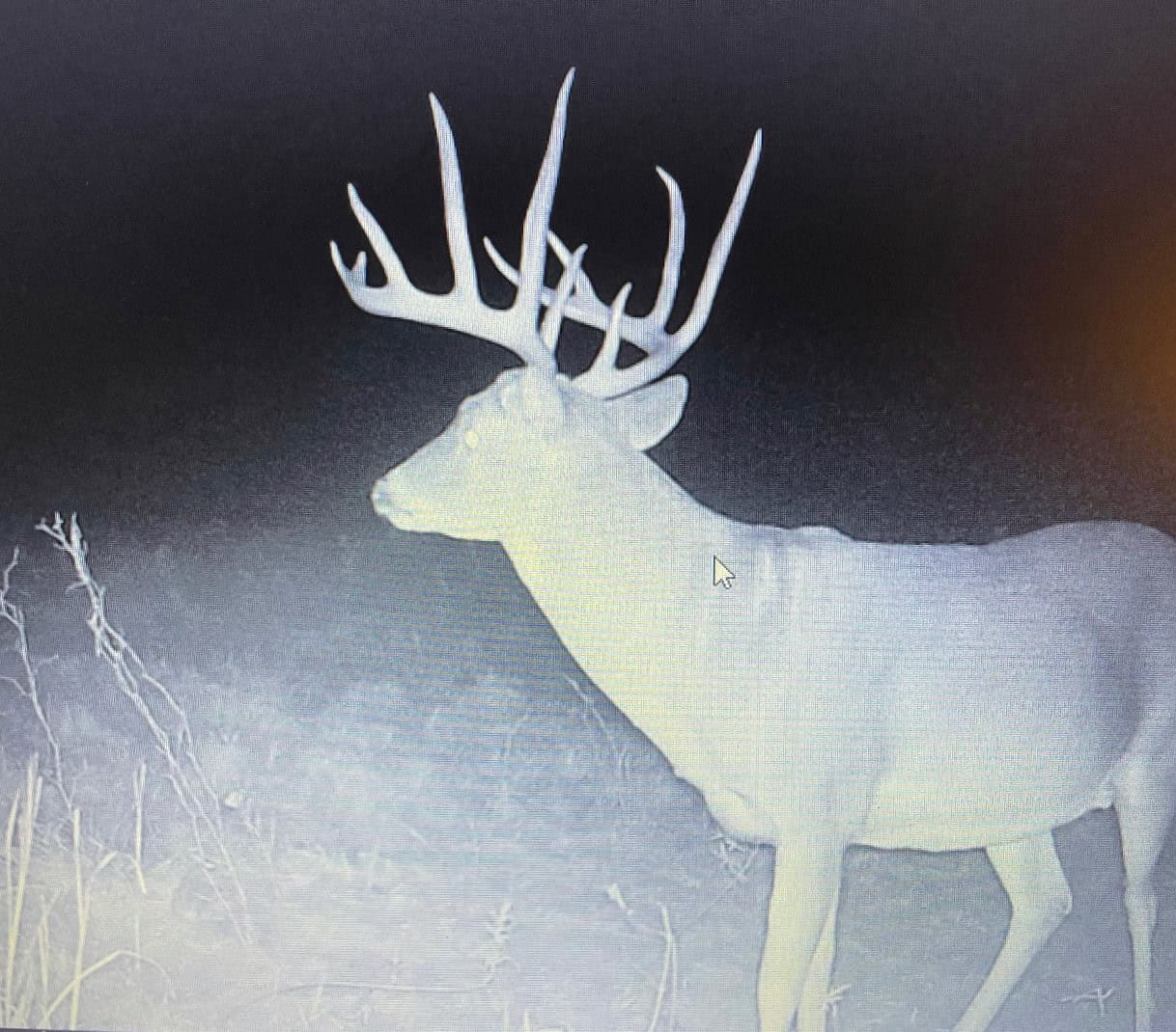 Premier Hunting & Cattle Ranch for Sale Near McAlester OK