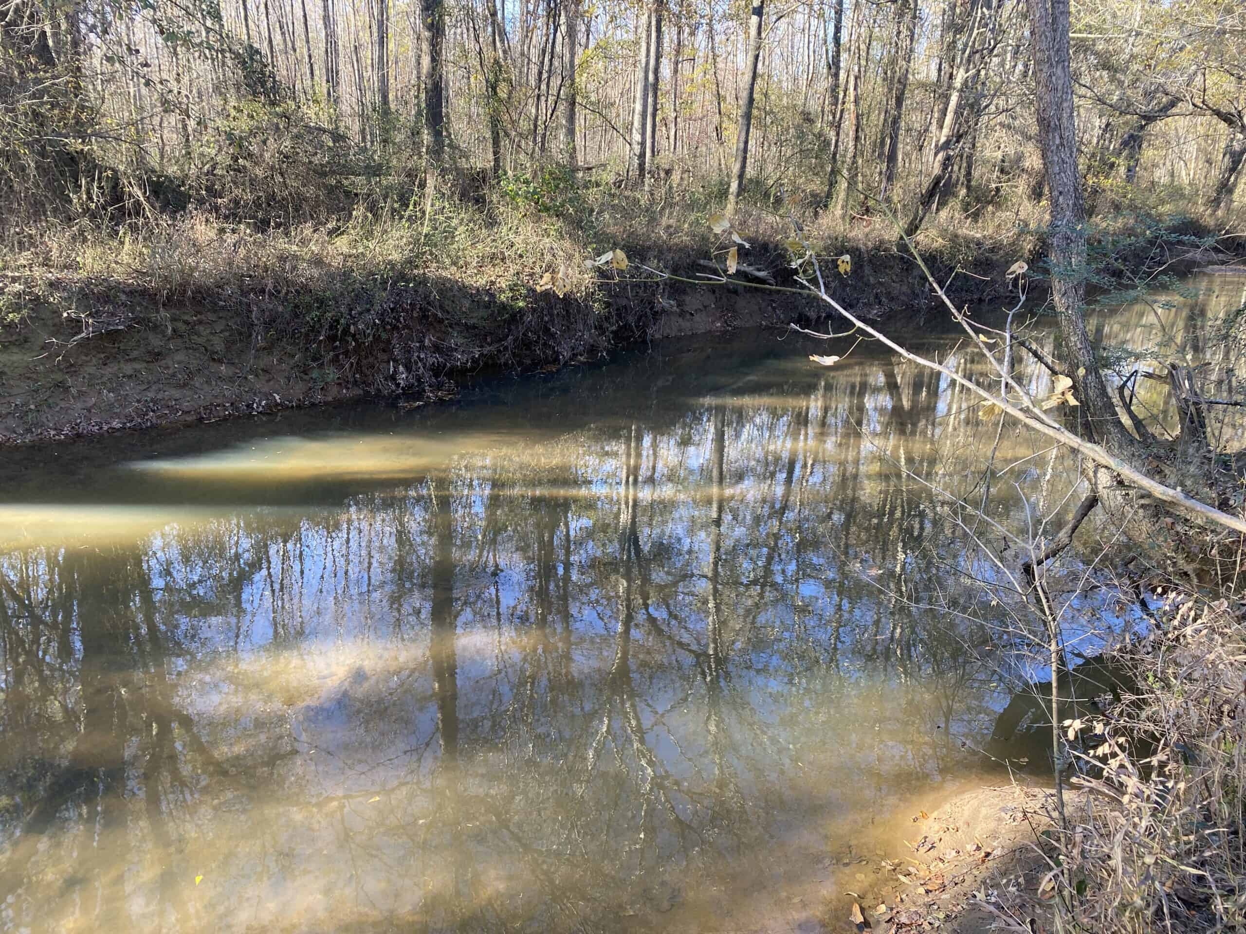 LAND FOR SALE IN TN, DEER & TURKEY HUNTING, BOTTOMLAND & UPLAND