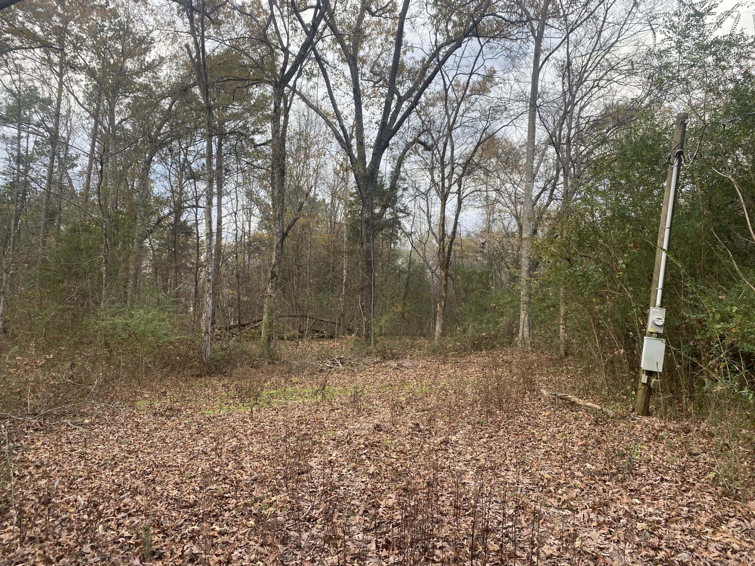 LAND FOR SALE IN TN, DEER & TURKEY HUNTING, BOTTOMLAND & UPLAND