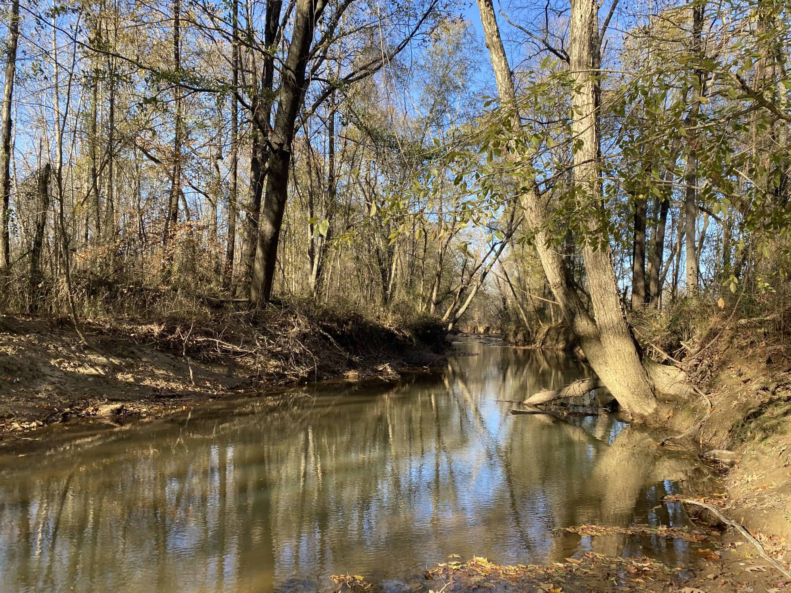LAND FOR SALE IN TN, DEER & TURKEY HUNTING, BOTTOMLAND & UPLAND