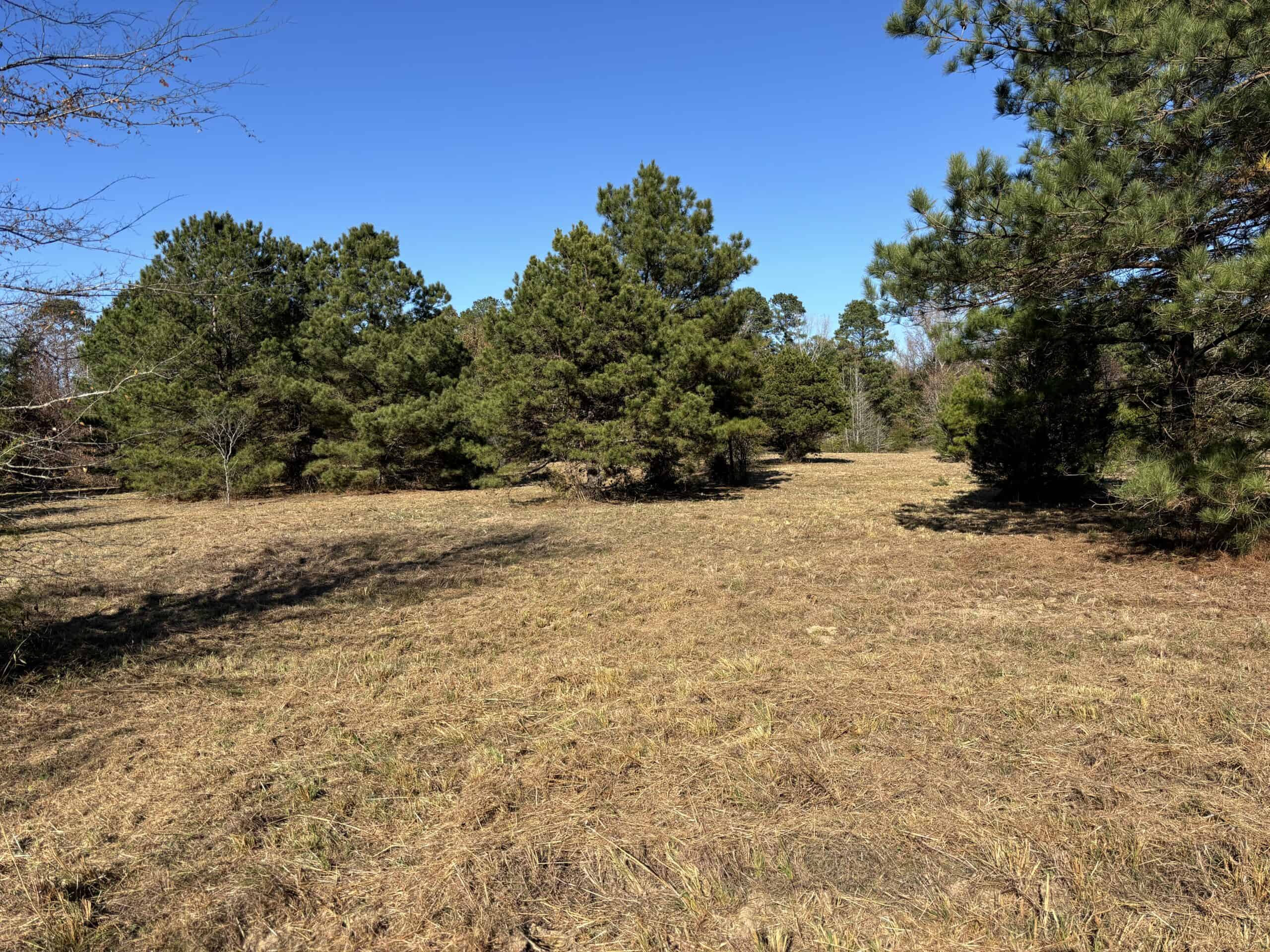 133 Scroggins Ln, Marietta, TX –  ±19-Acre Farm & Ranch Retreat