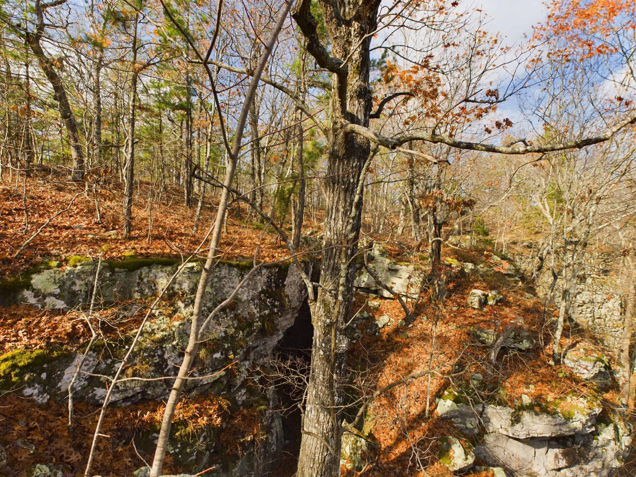 40 Acre Wooded Hunting Property Land in Ozark Mountains For Sale