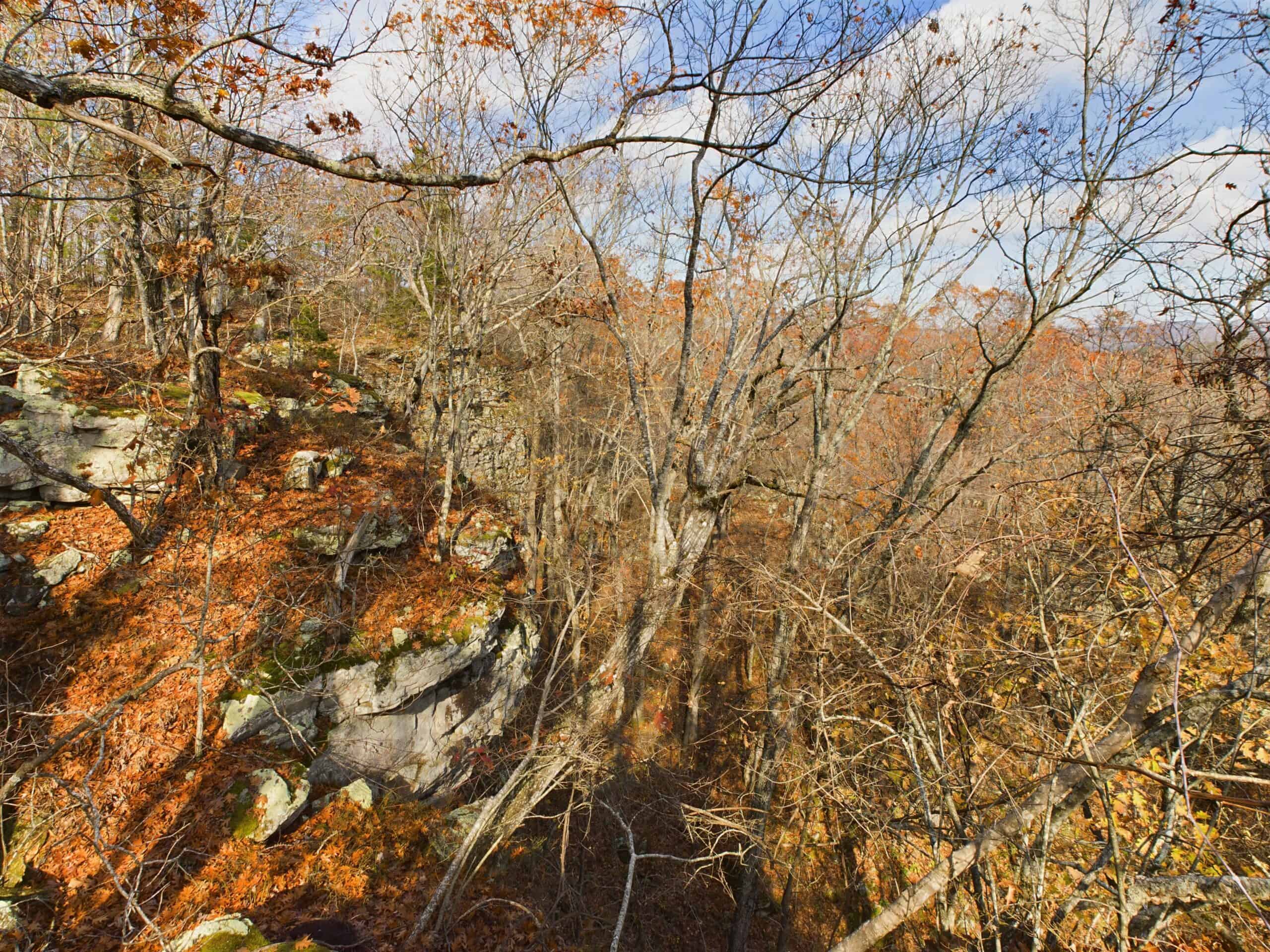 40 Acre Wooded Hunting Property Land in Ozark Mountains For Sale