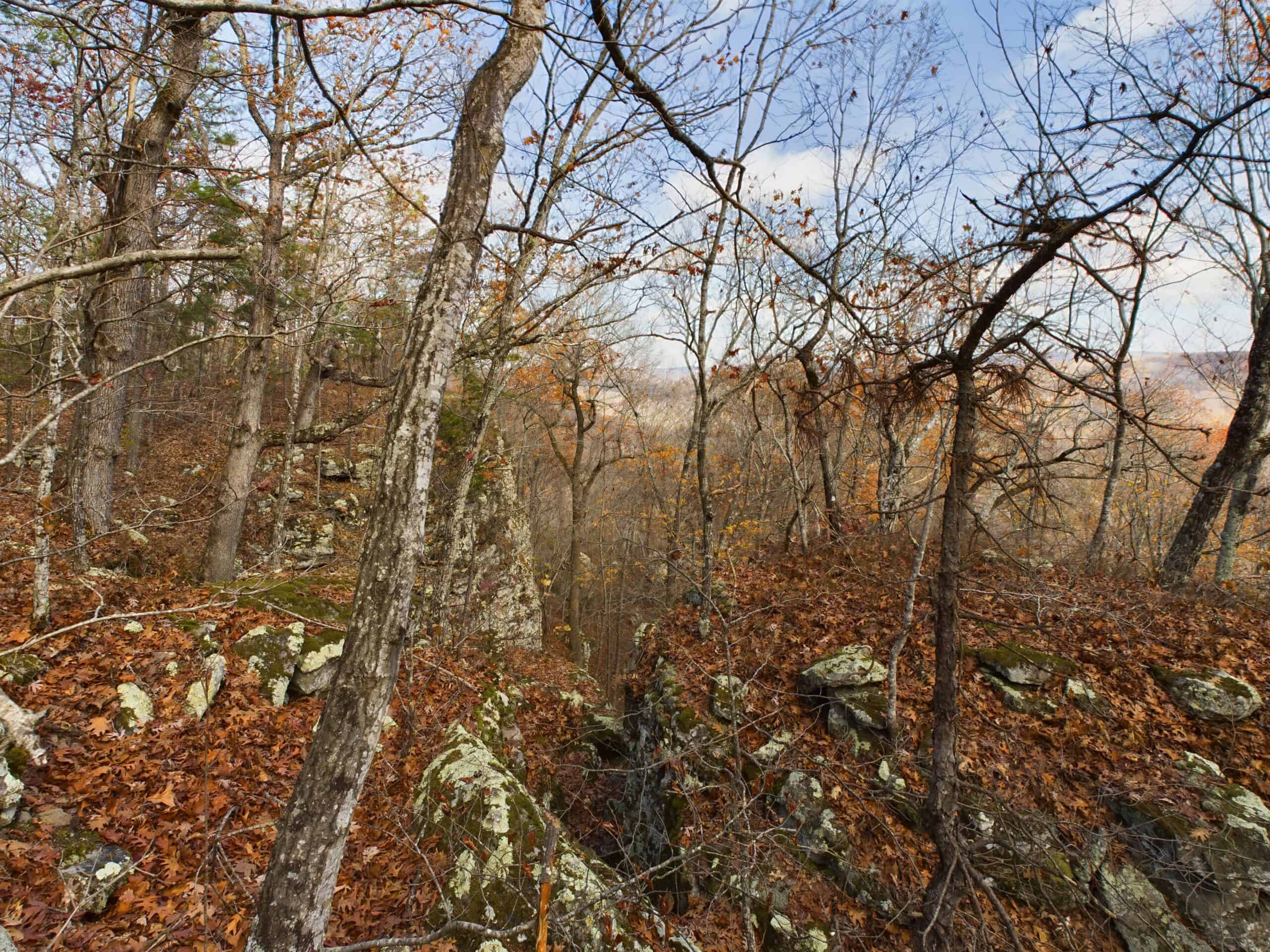 40 Acre Wooded Hunting Property Land in Ozark Mountains For Sale