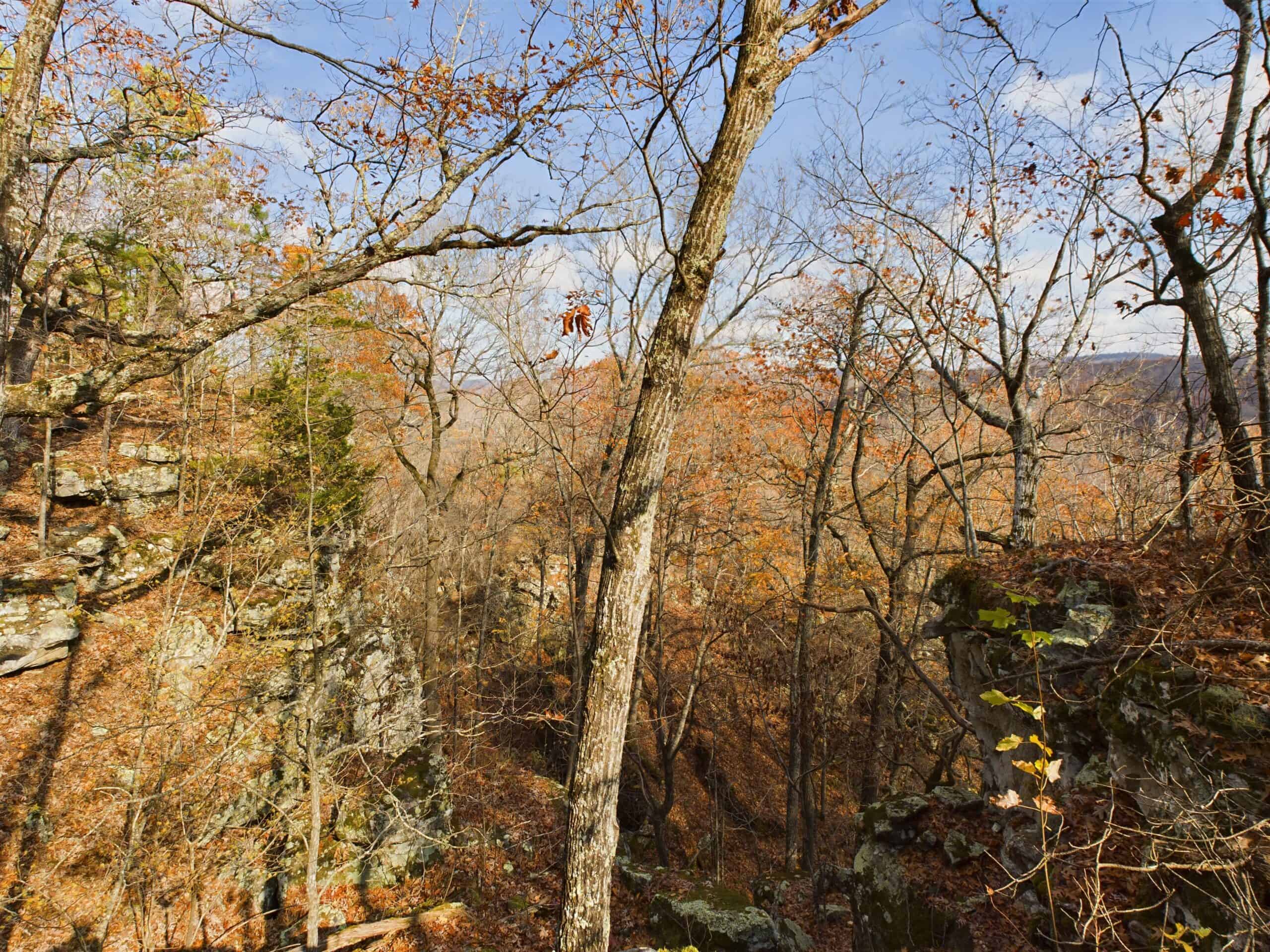 40 Acre Wooded Hunting Property Land in Ozark Mountains For Sale