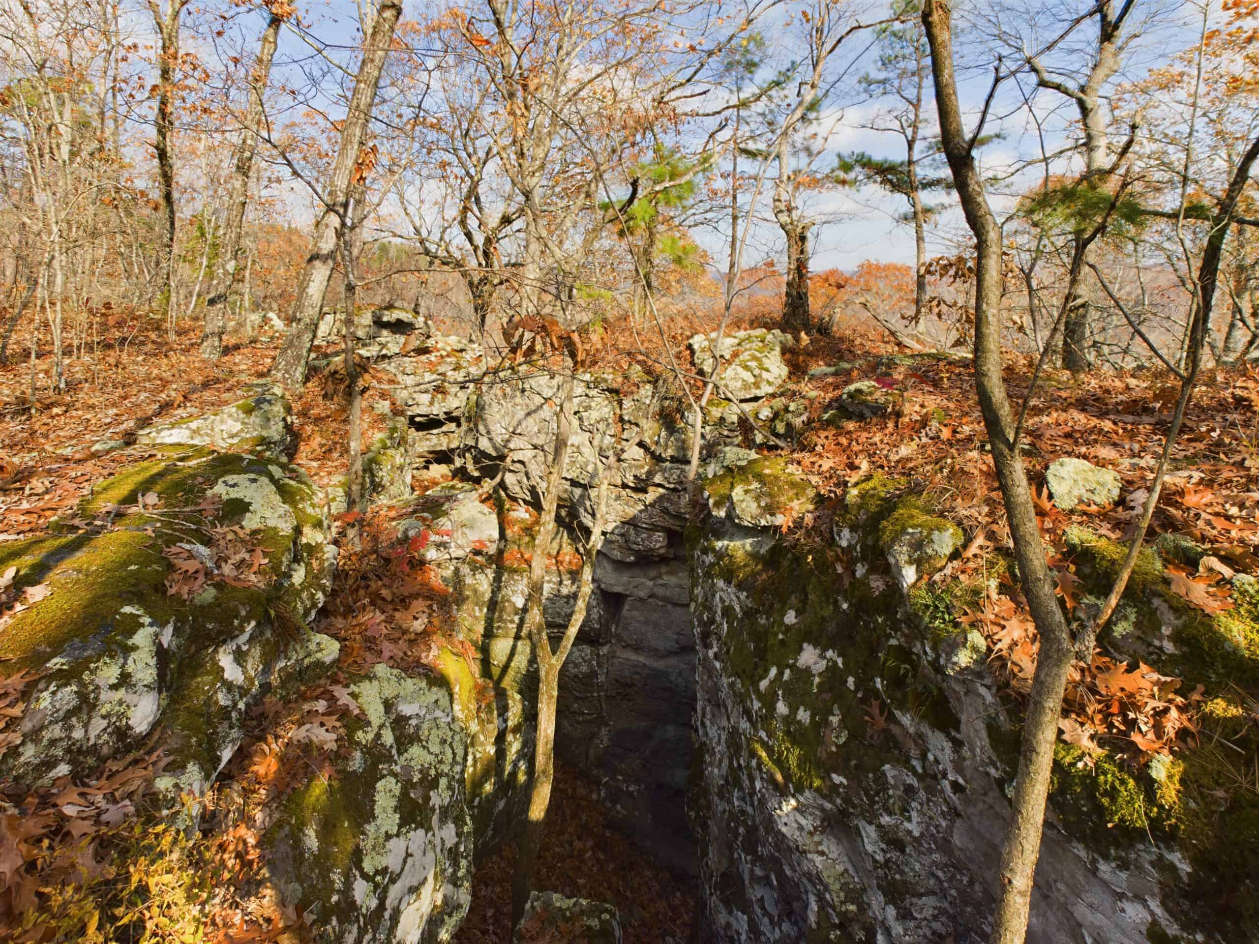 40 Acre Wooded Hunting Property Land in Ozark Mountains For Sale