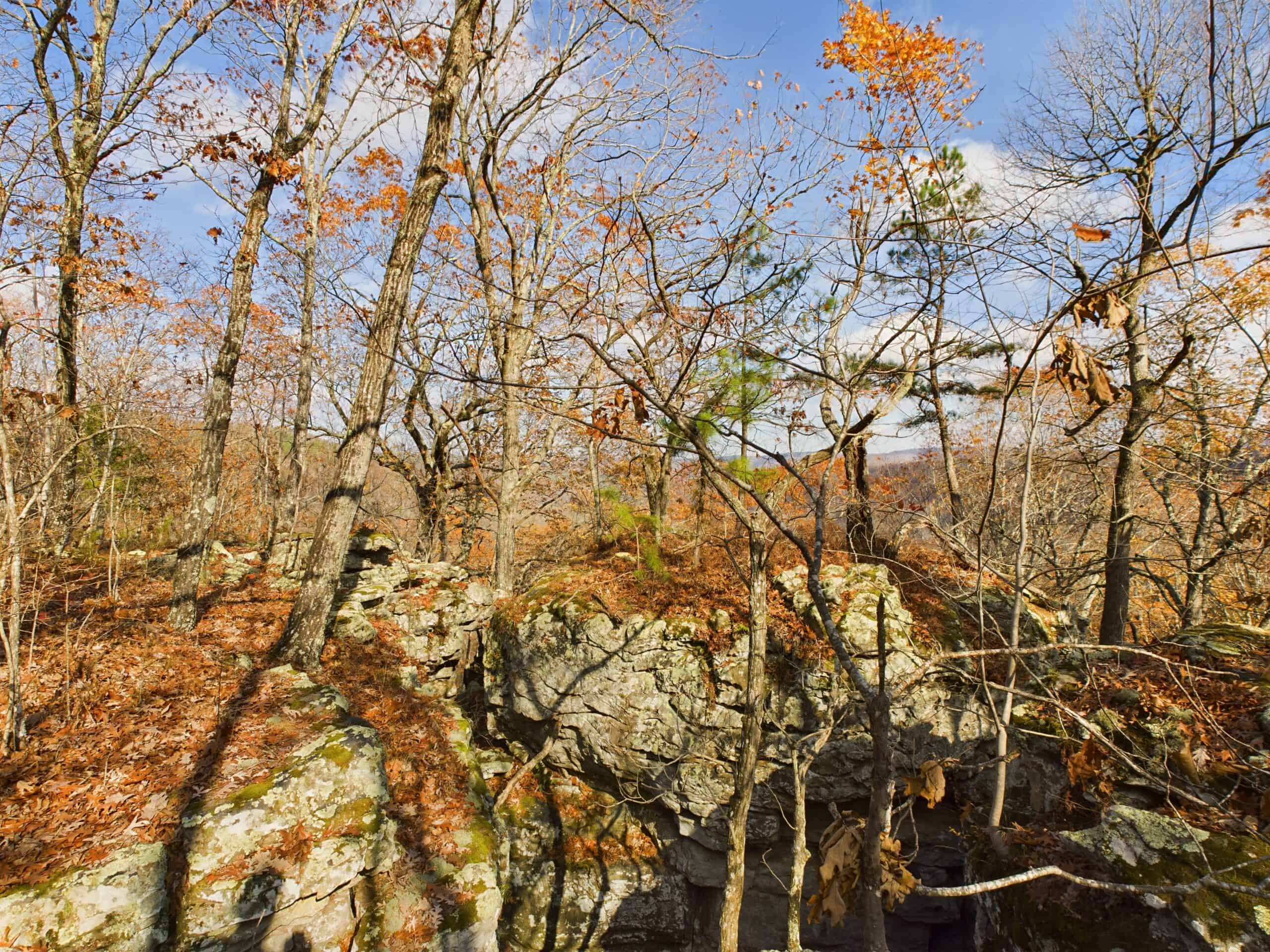 40 Acre Wooded Hunting Property Land in Ozark Mountains For Sale