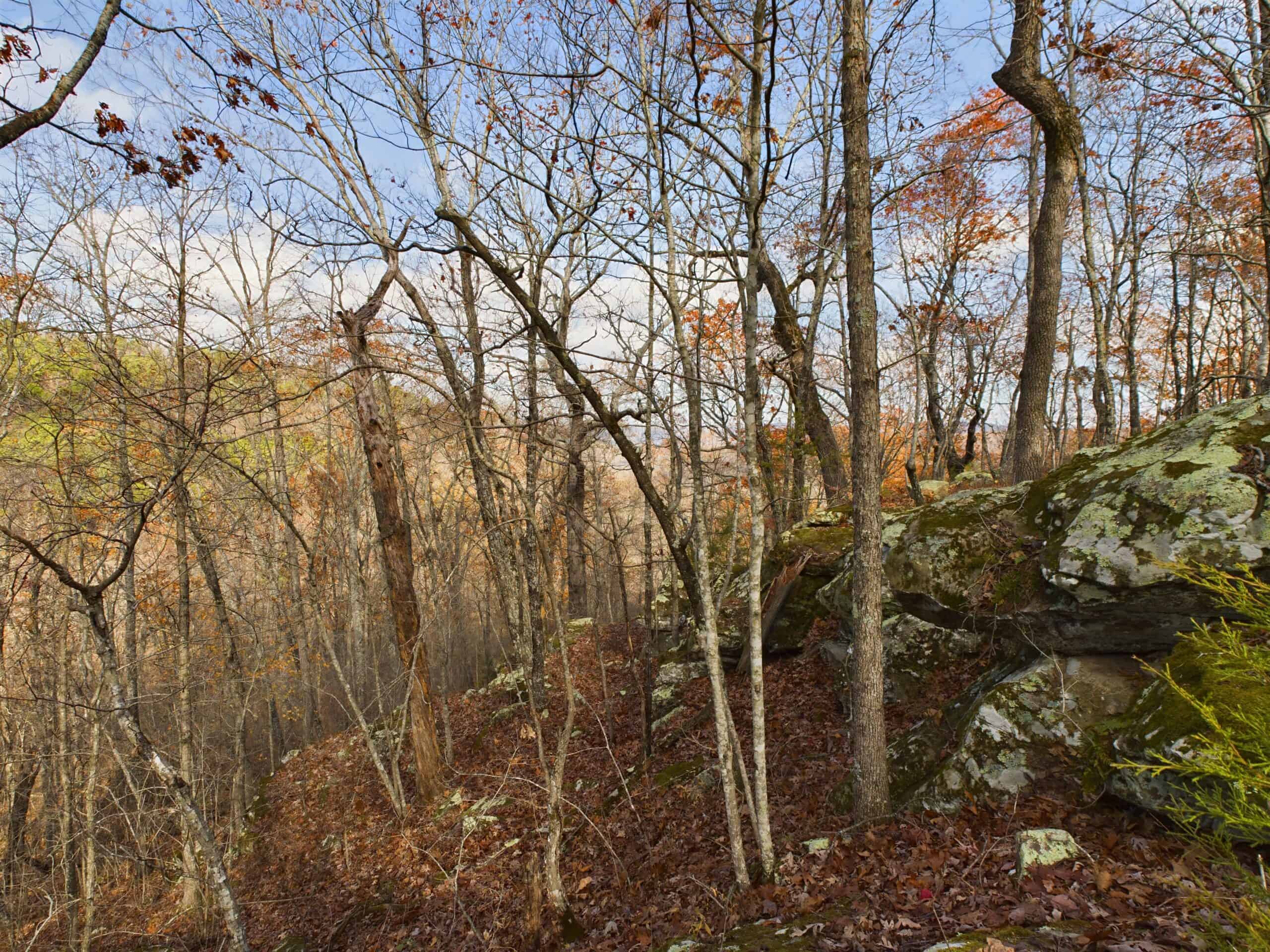 40 Acre Wooded Hunting Property Land in Ozark Mountains For Sale