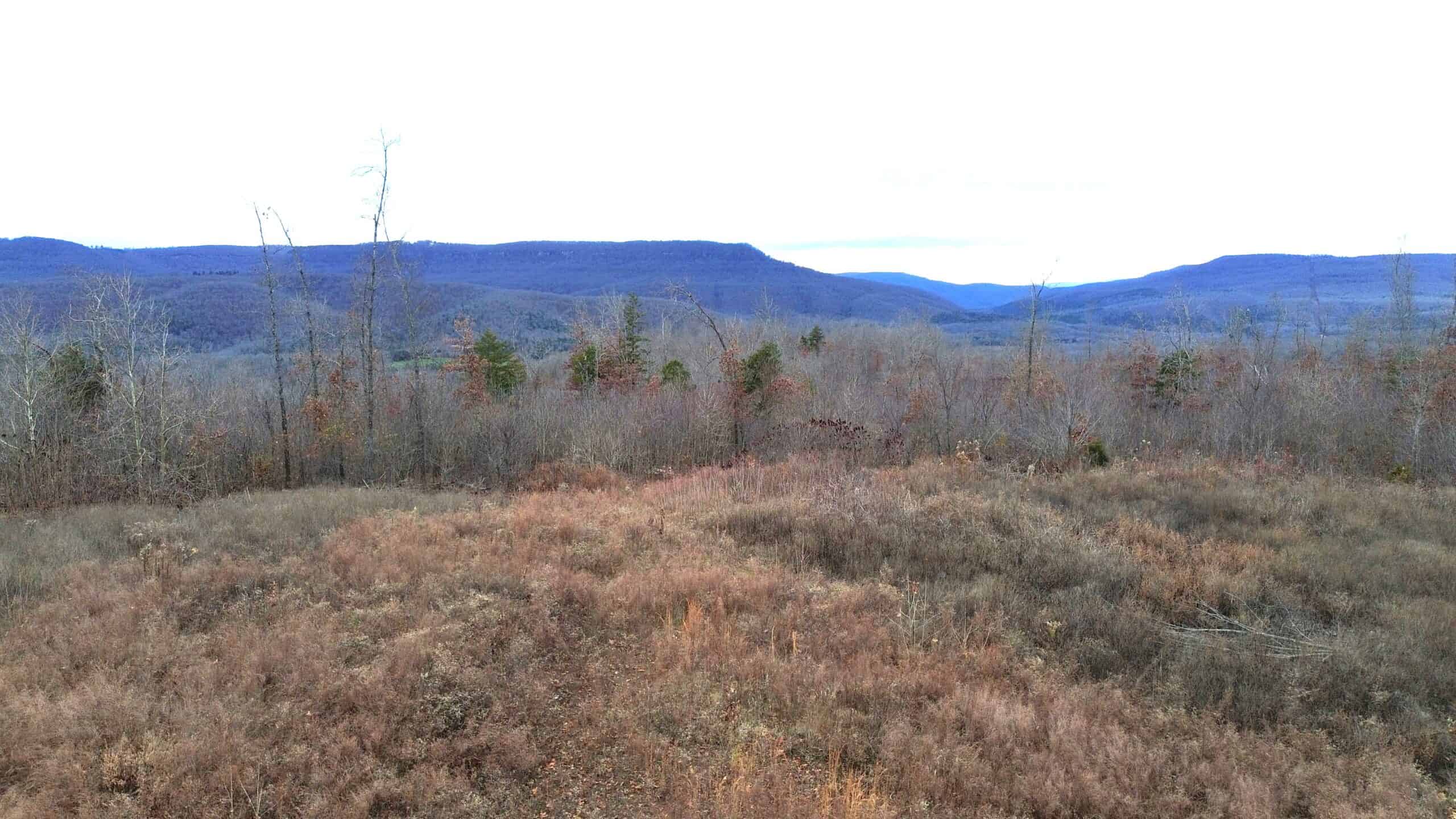 60 Acres Prime Newton Co, Ar Hunting Land For Sale Bordering Buffalo National River Park Land on 2 Sides!