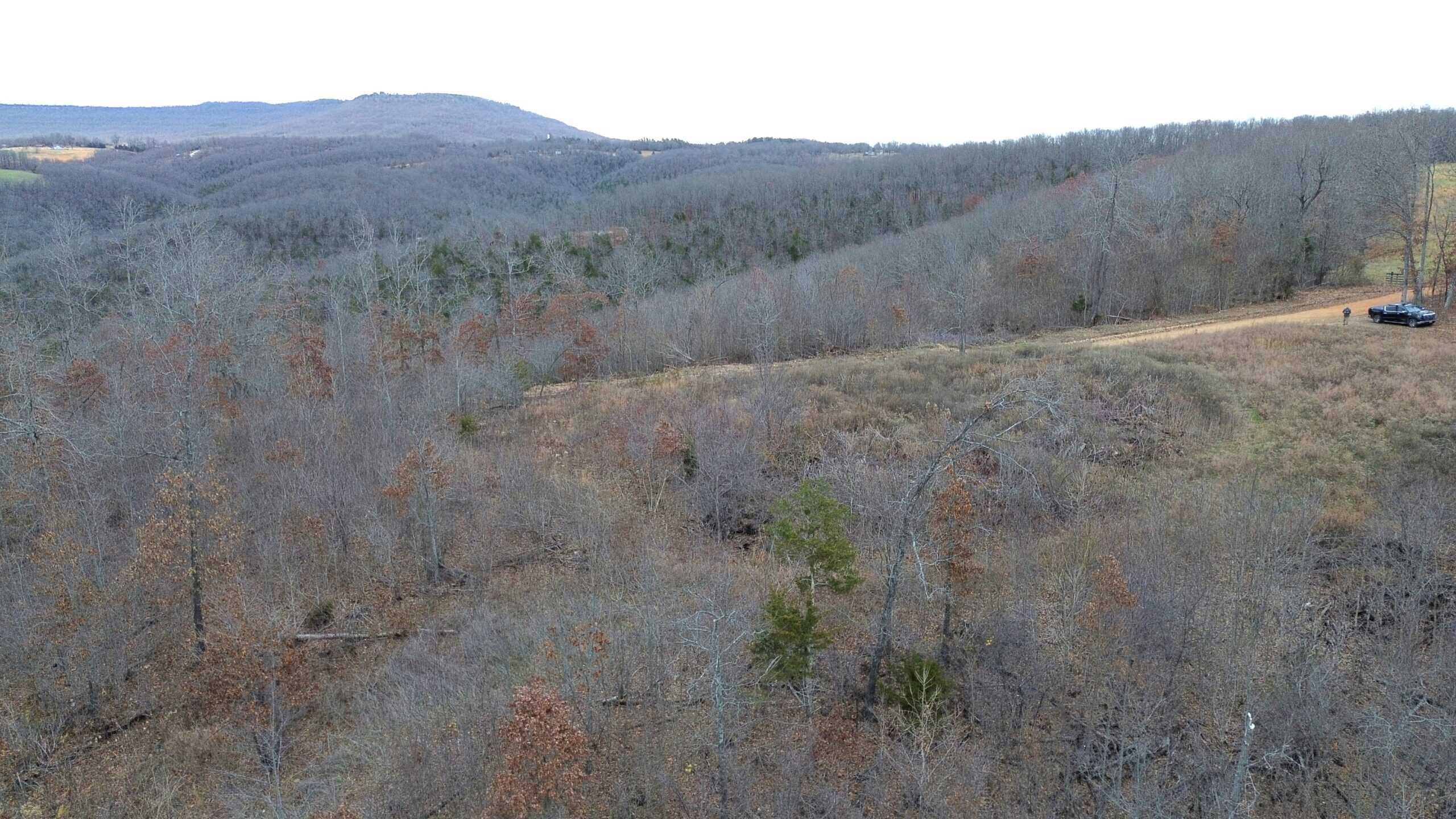 60 Acres Prime Newton Co, Ar Hunting Land For Sale Bordering Buffalo National River Park Land on 2 Sides!