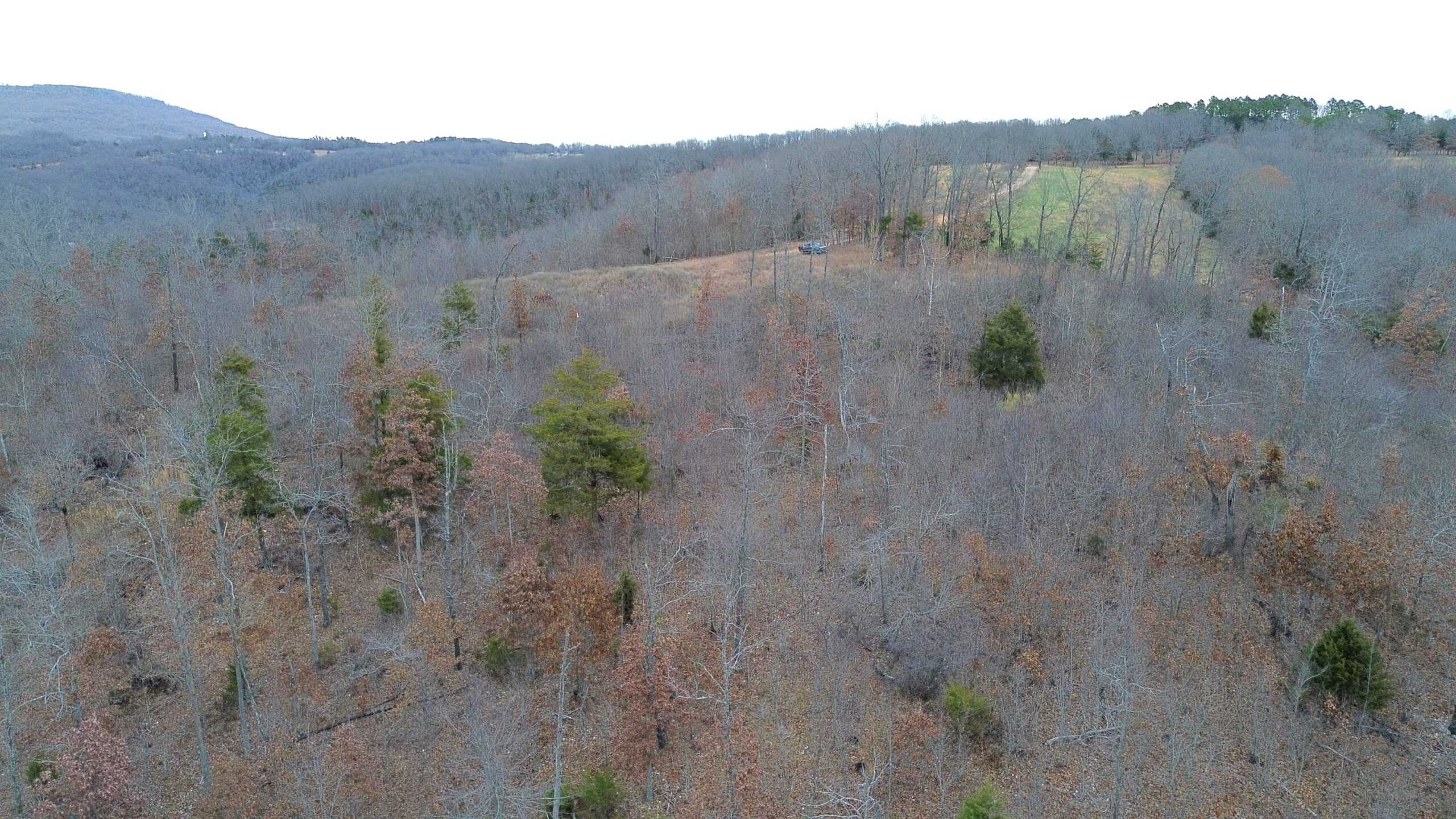60 Acres Prime Newton Co, Ar Hunting Land For Sale Bordering Buffalo National River Park Land on 2 Sides!