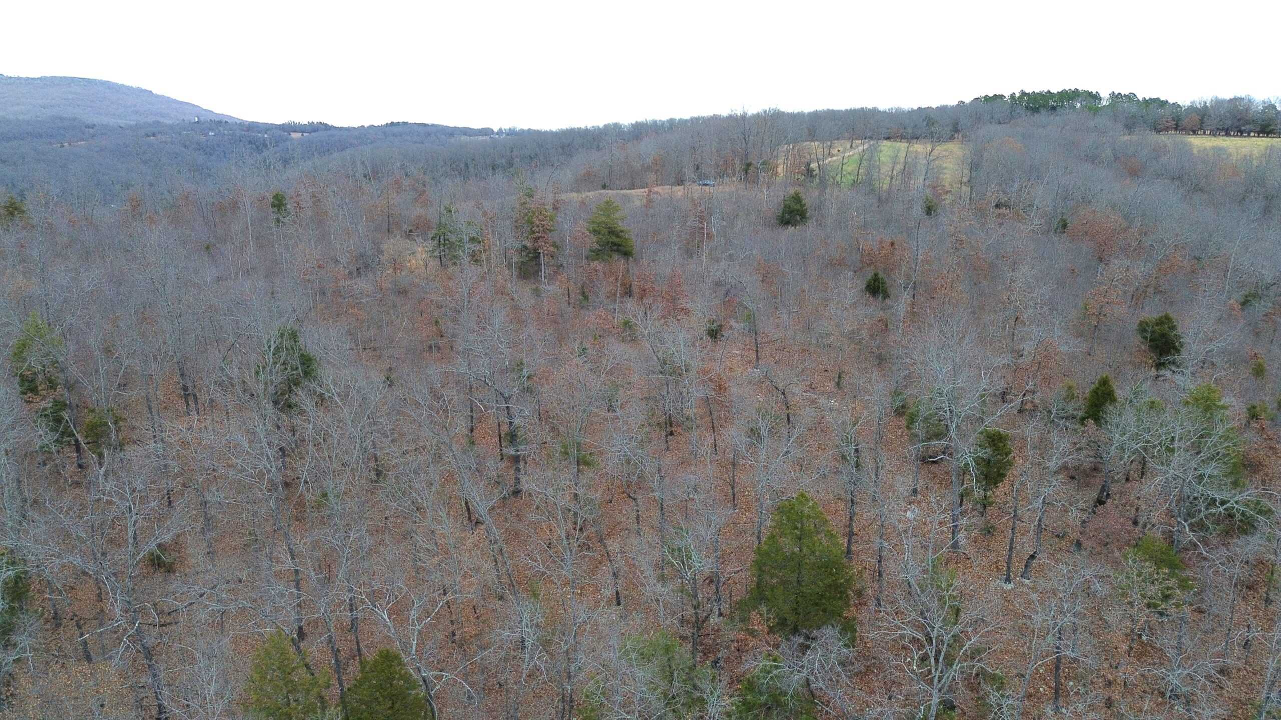60 Acres Prime Newton Co, Ar Hunting Land For Sale Bordering Buffalo National River Park Land on 2 Sides!