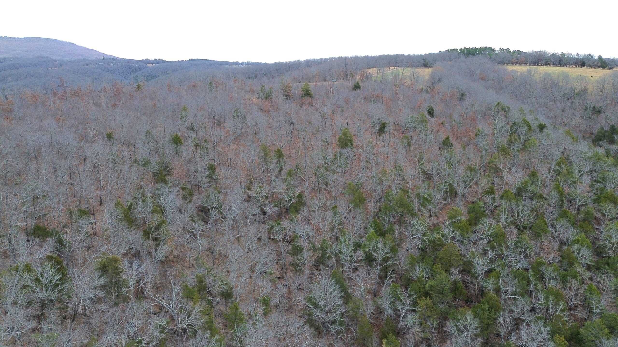 60 Acres Prime Newton Co, Ar Hunting Land For Sale Bordering Buffalo National River Park Land on 2 Sides!
