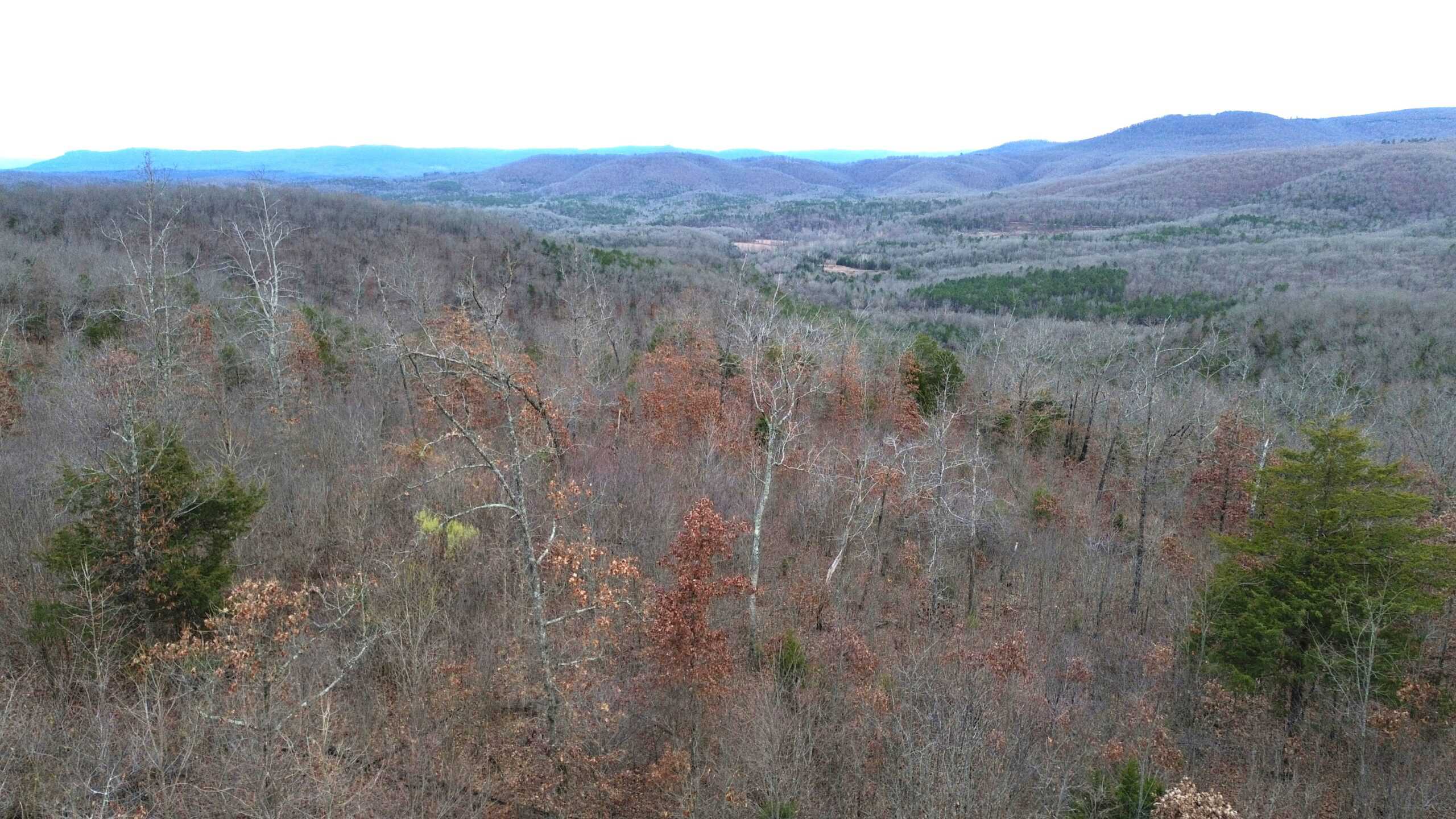 60 Acres Prime Newton Co, Ar Hunting Land For Sale Bordering Buffalo National River Park Land on 2 Sides!