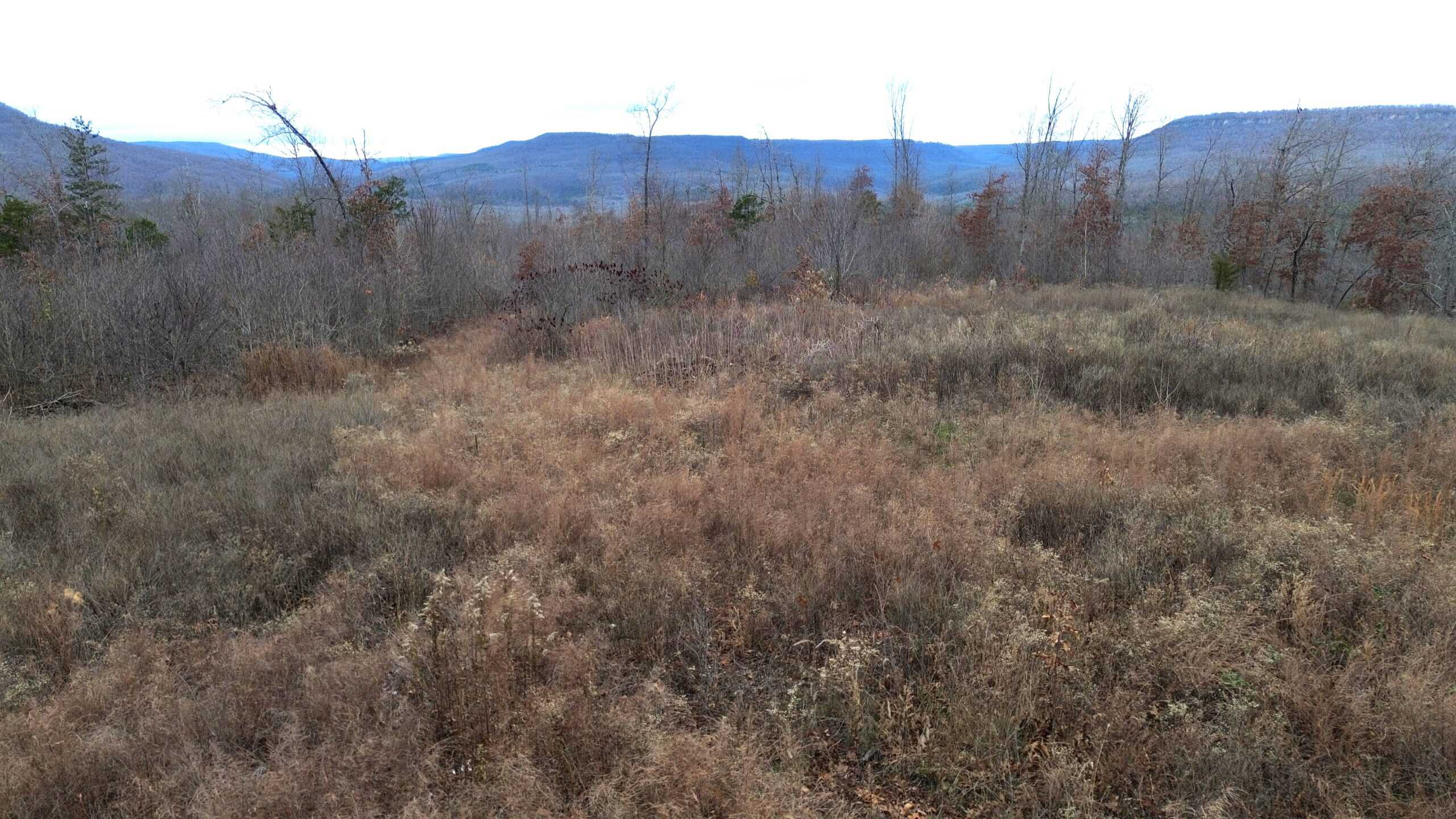 60 Acres Prime Newton Co, Ar Hunting Land For Sale Bordering Buffalo National River Park Land on 2 Sides!