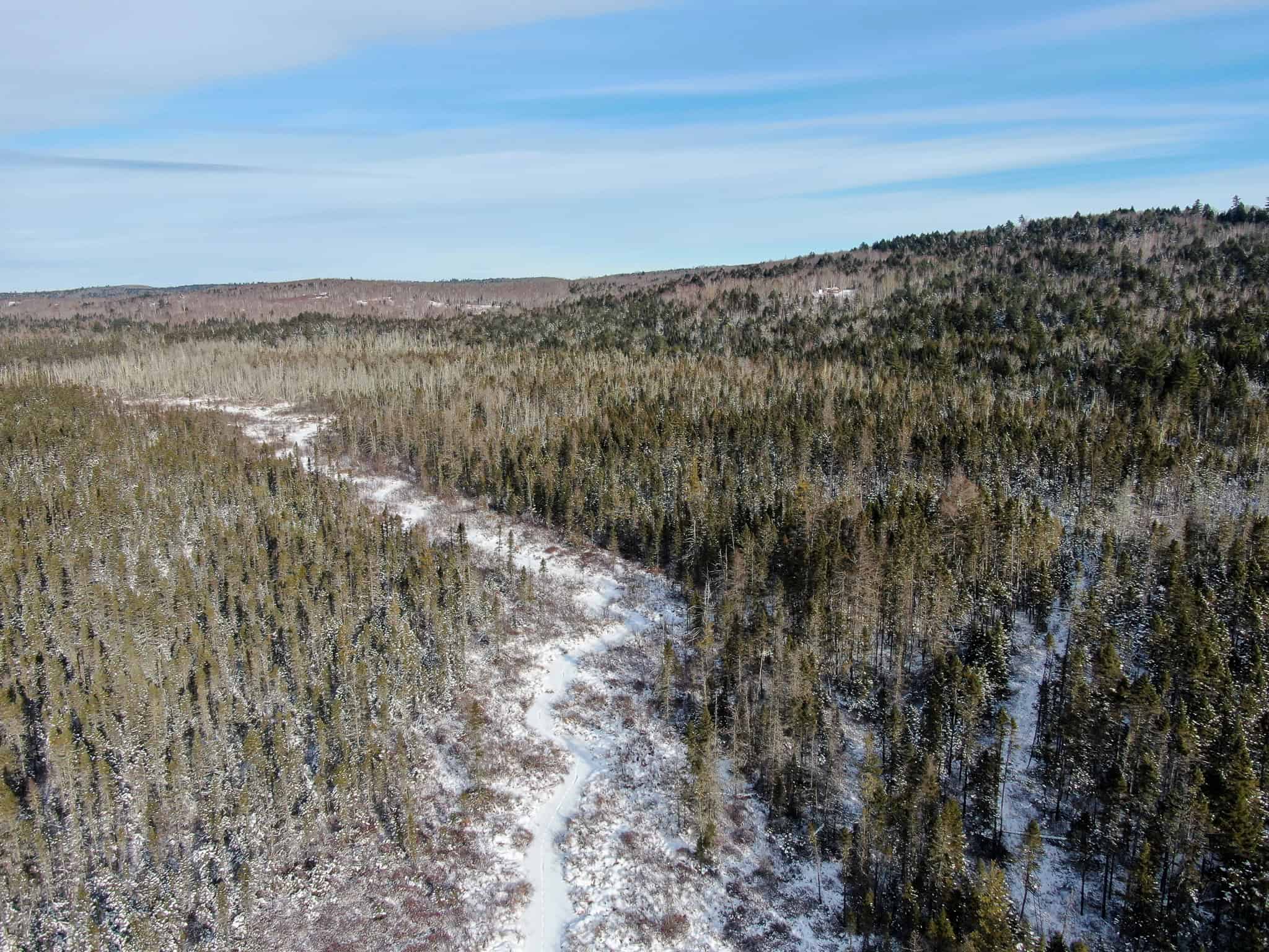 Secluded Cabin on 550 Acres with Stunning Views & Ultimate Privacy