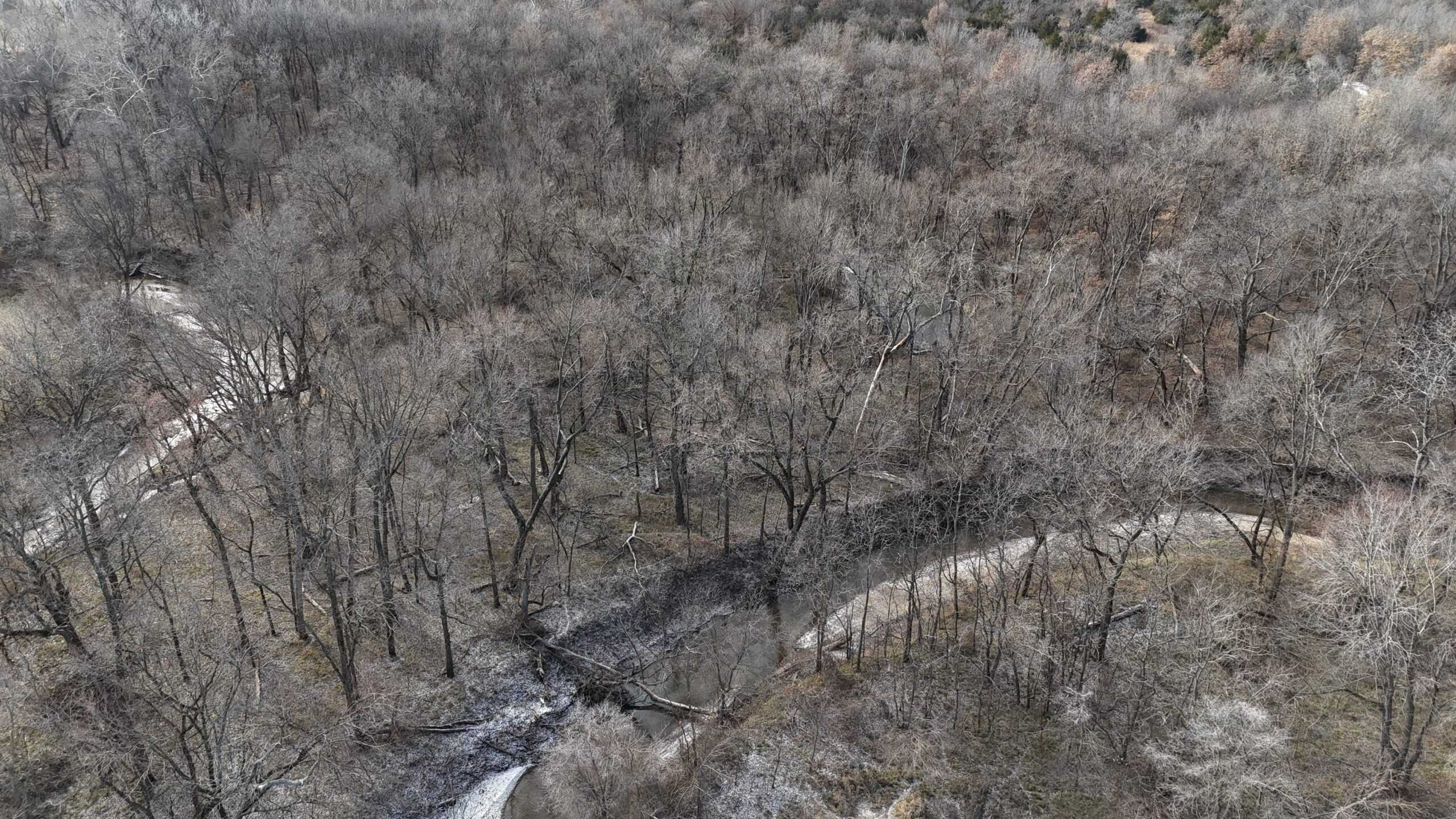 DeKalb County Missouri Timber/Creek/Excellent Hunting