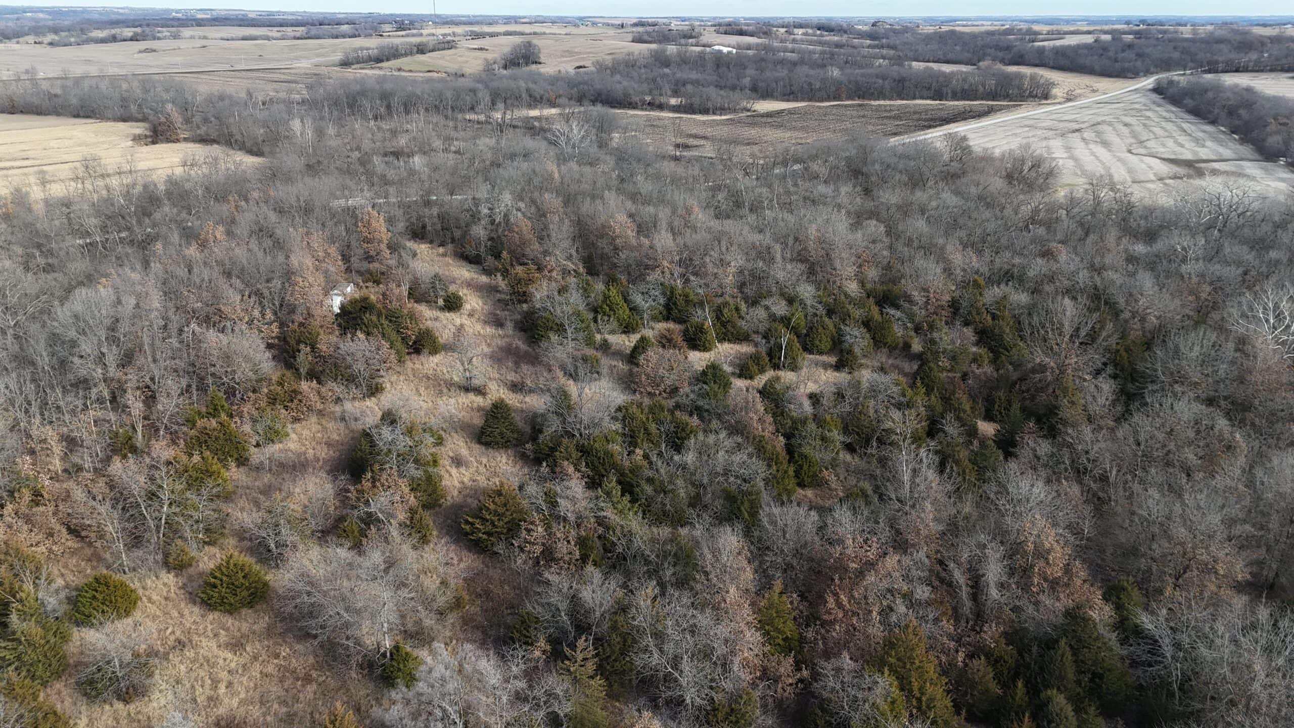 DeKalb County Missouri Timber/Creek/Excellent Hunting