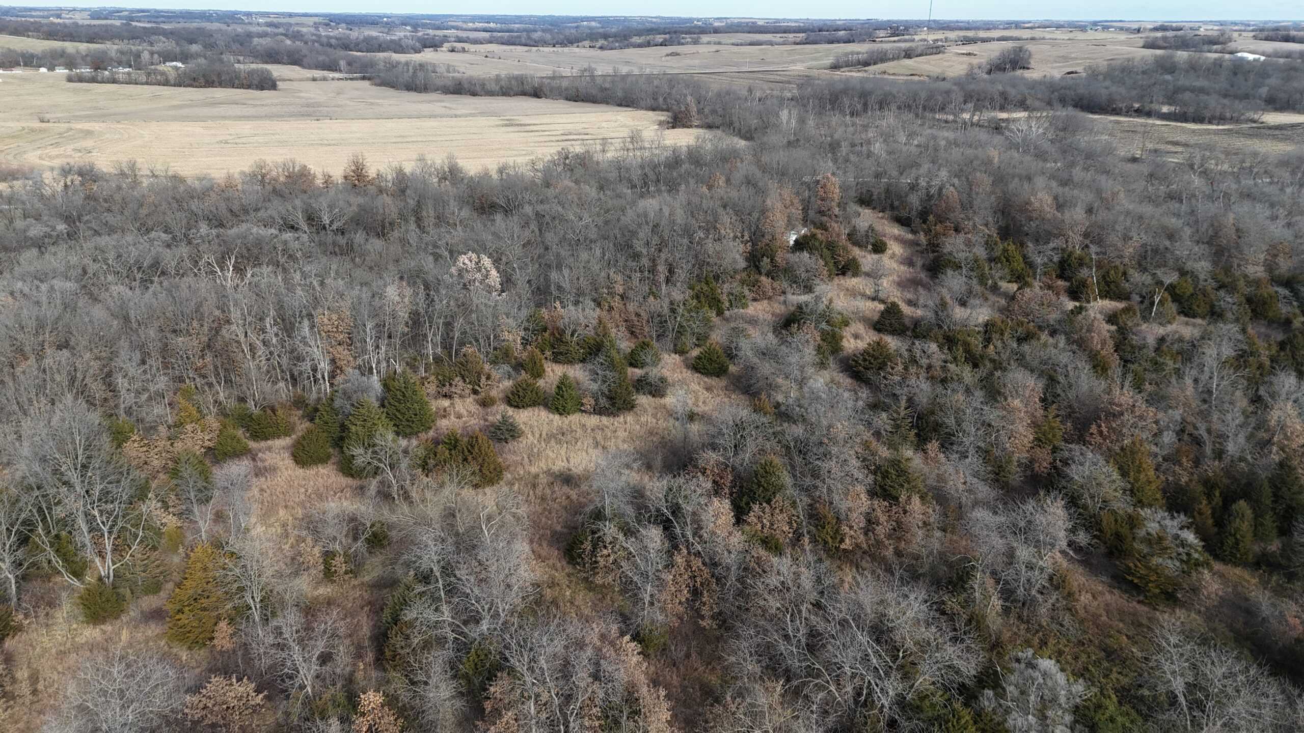DeKalb County Missouri Timber/Creek/Excellent Hunting