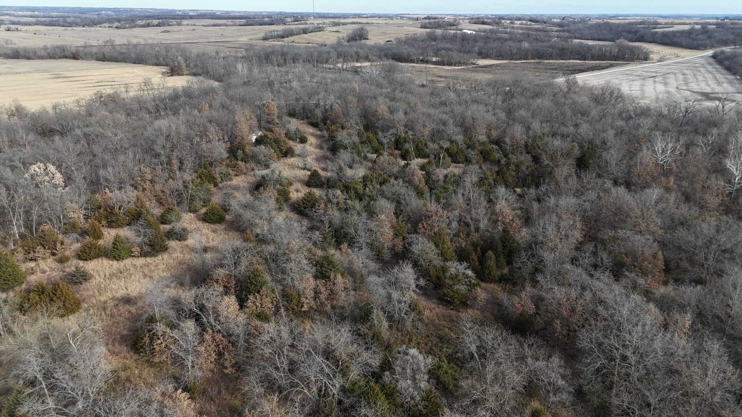 DeKalb County Missouri Timber/Creek/Excellent Hunting