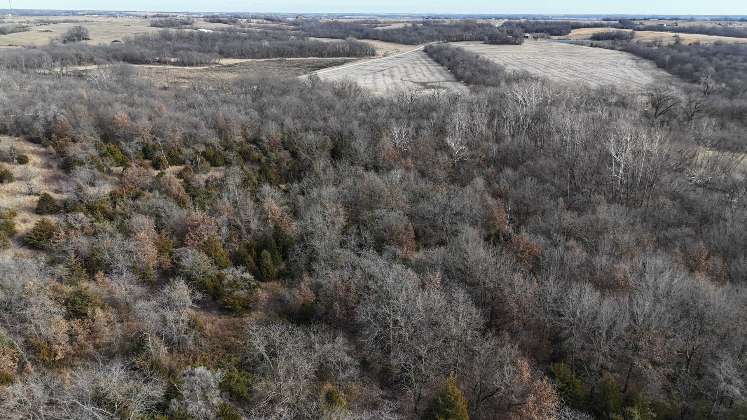 DeKalb County Missouri Timber/Creek/Excellent Hunting