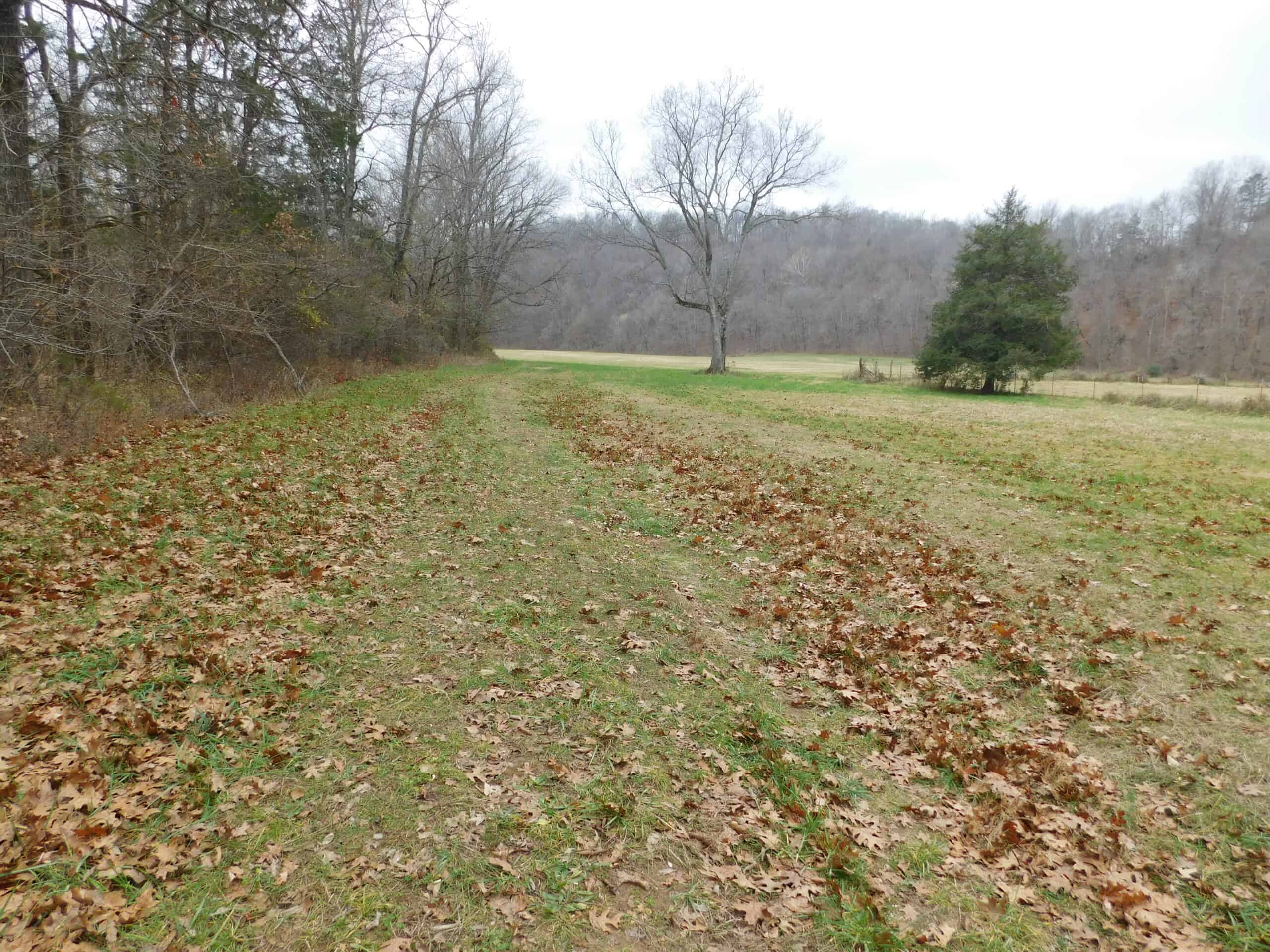 Creek Runs Through Farm Land/Deer Hunting Property in Newton County, Ar