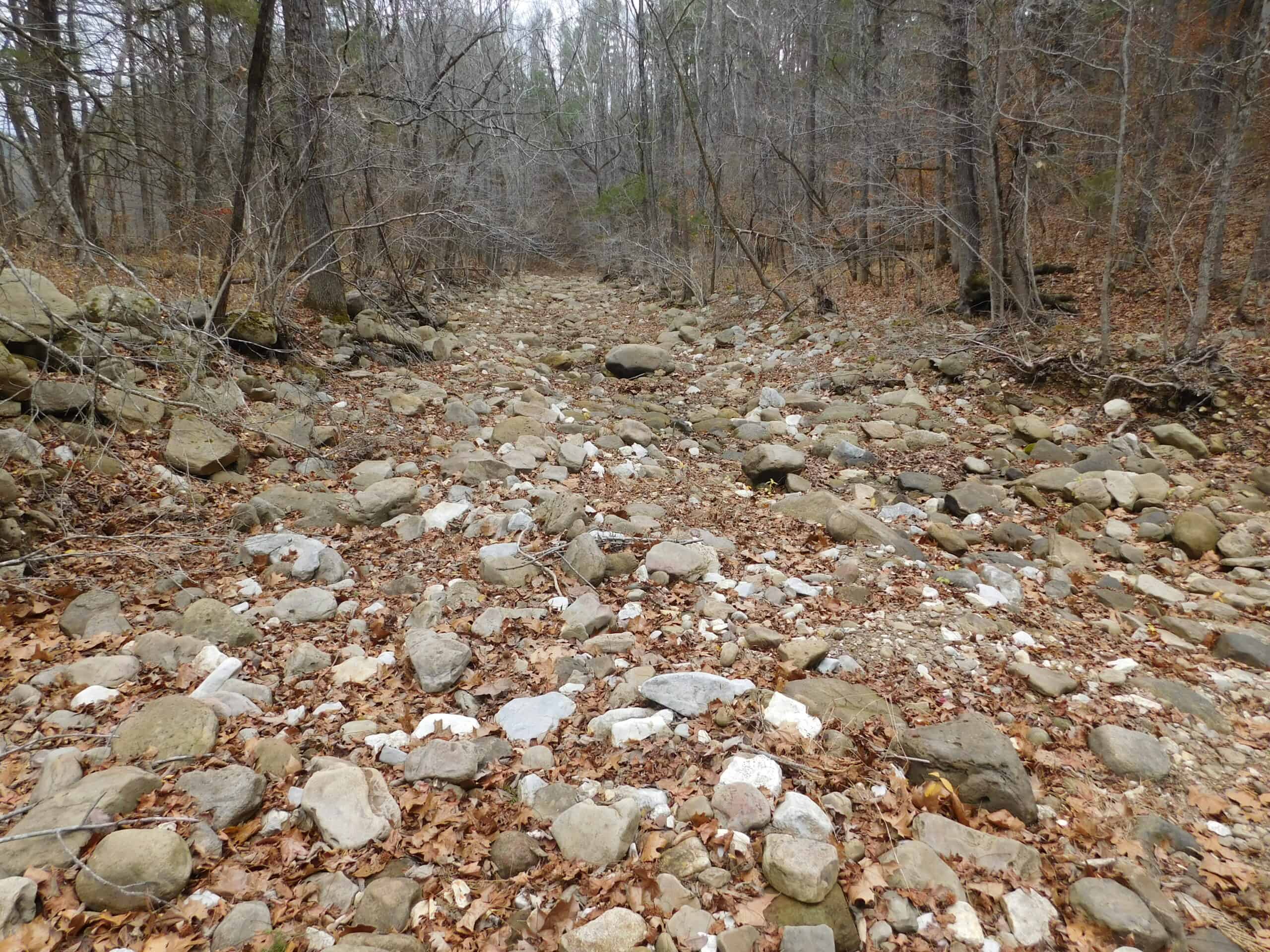 Creek Runs Through Farm Land/Deer Hunting Property in Newton County, Ar